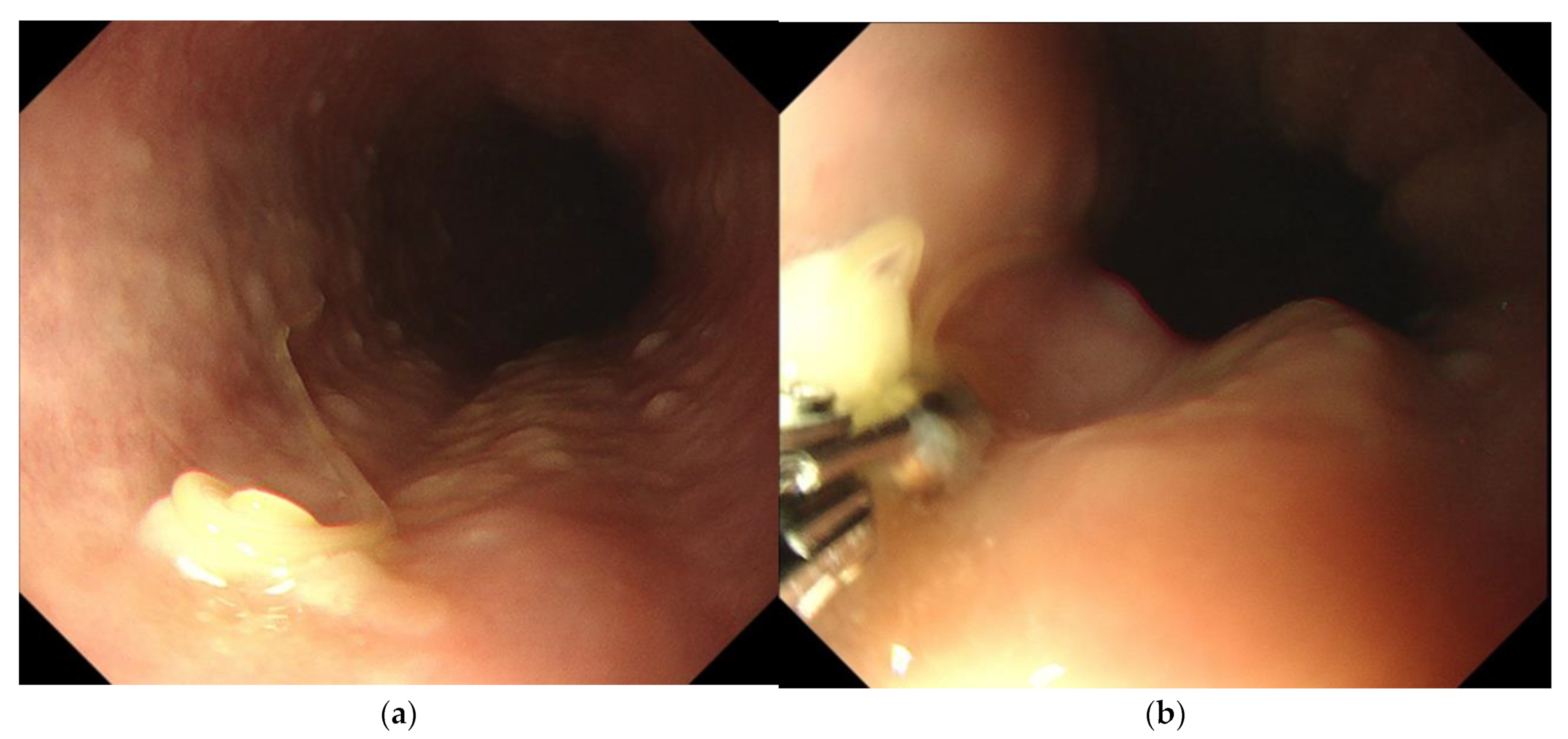 Medicina 59 01888 g001