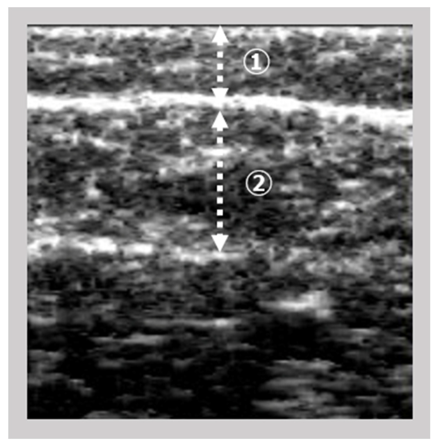 Medicina 59 01894 g001