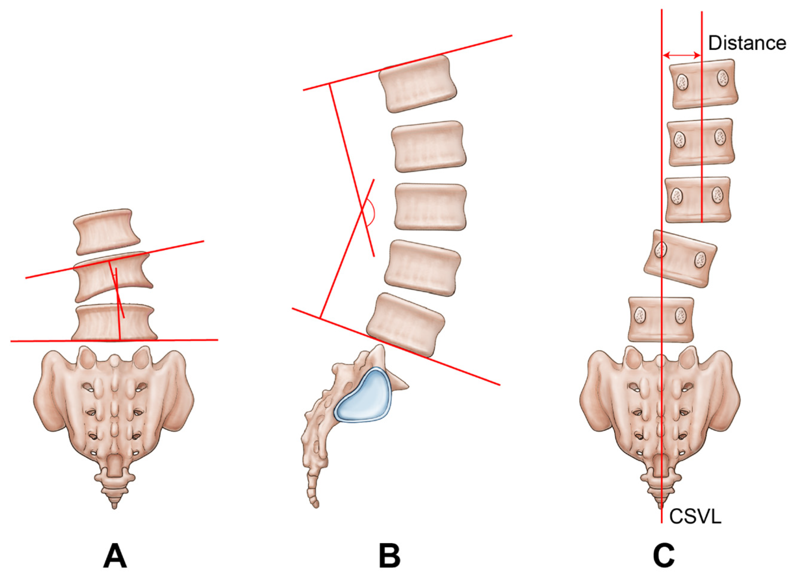 Medicina 59 01898 g002