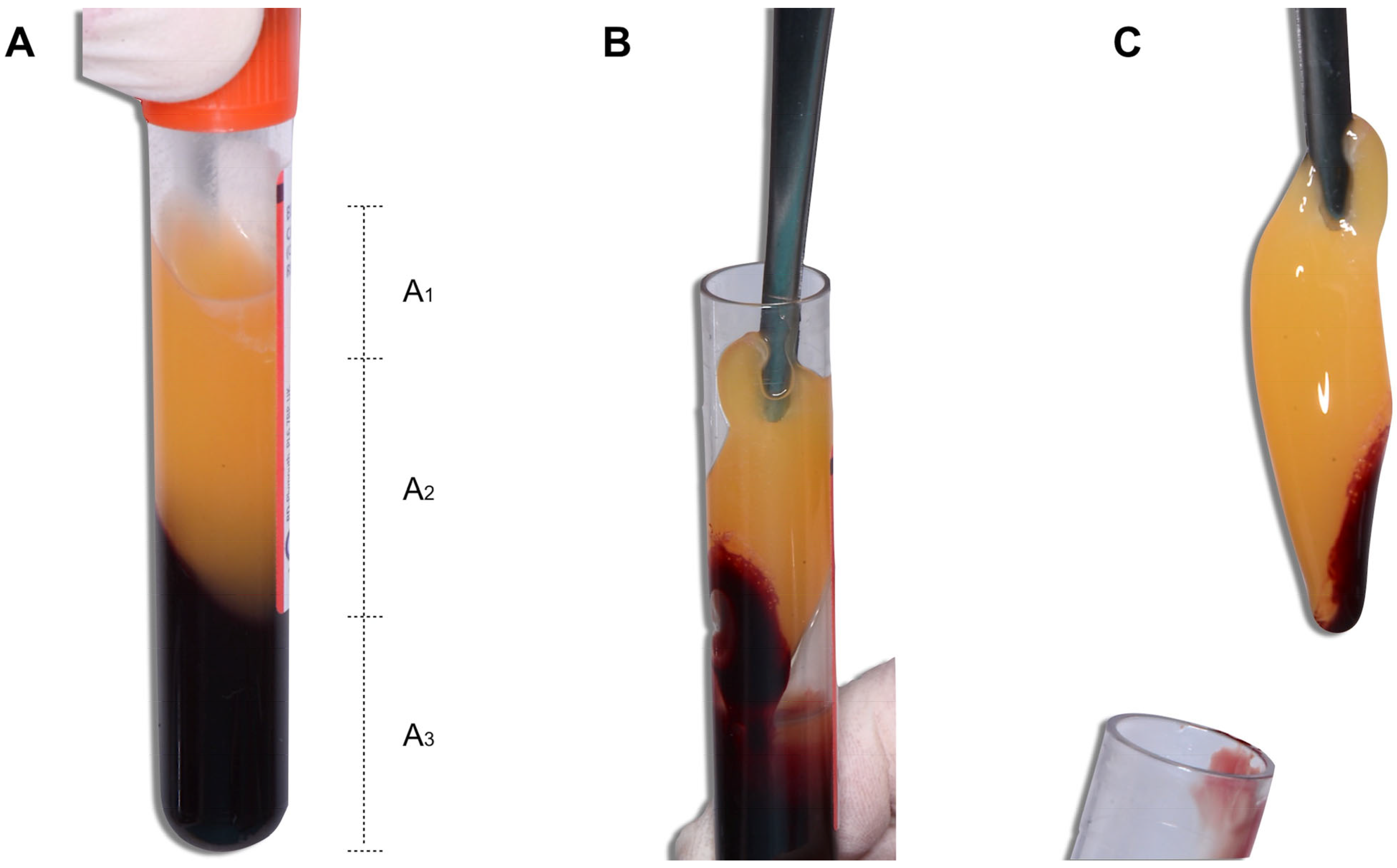 Medicina 59 01903 g001