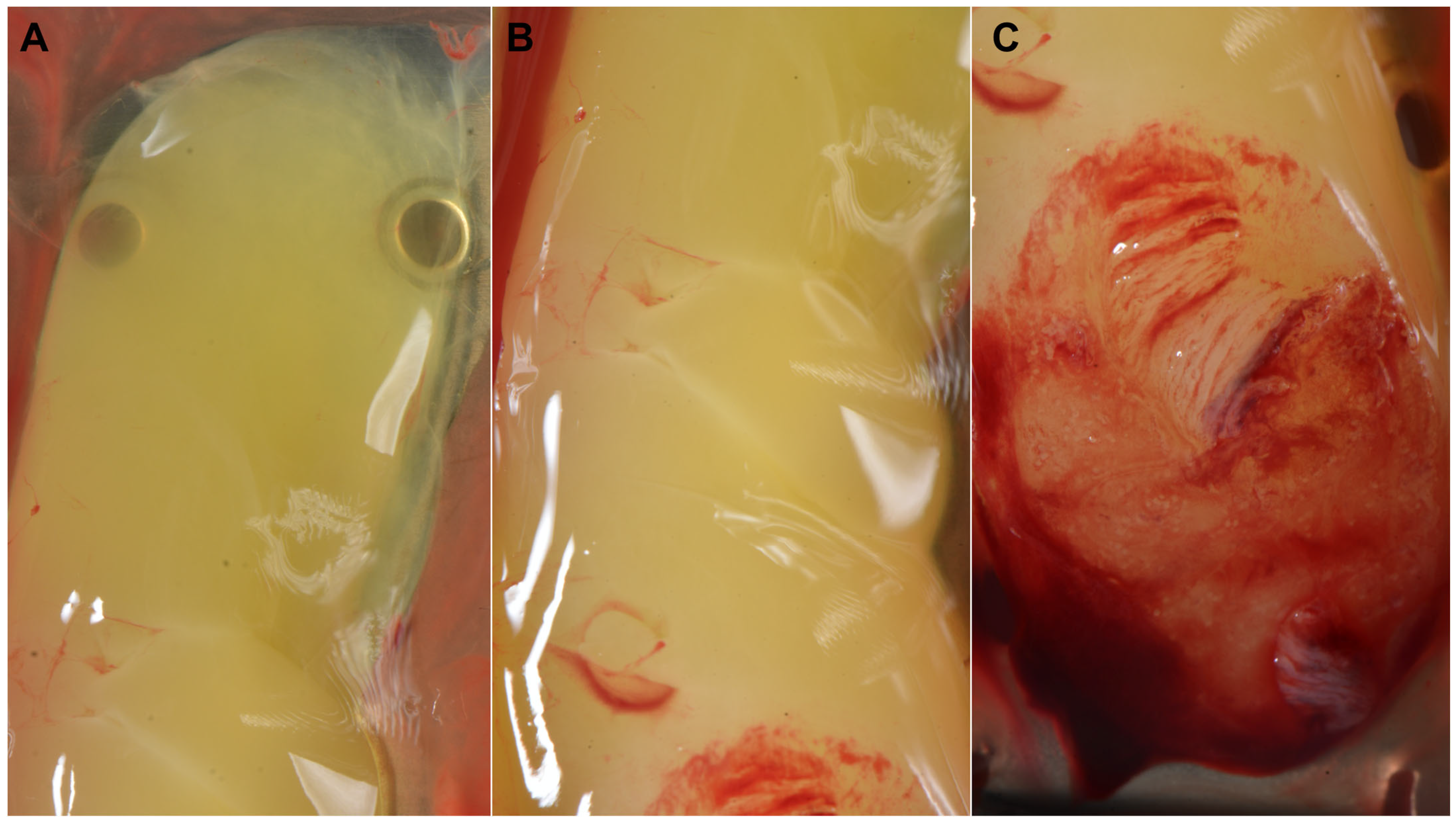 Medicina 59 01903 g004