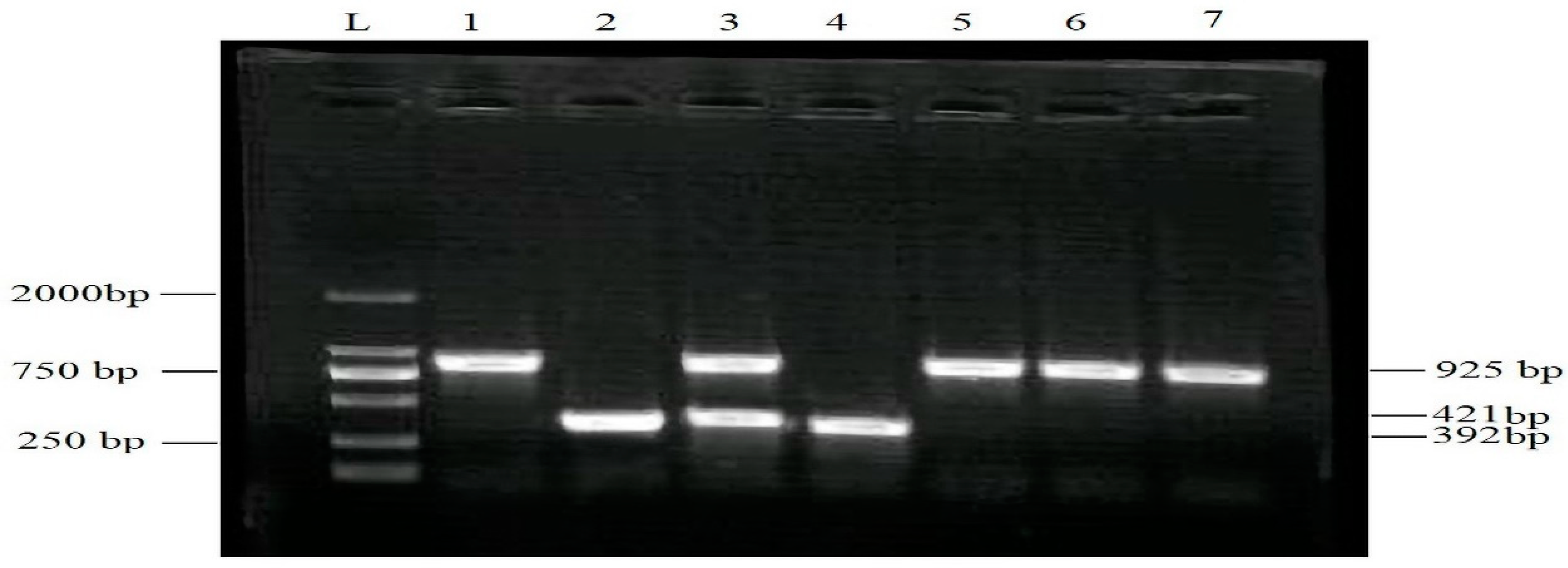 Medicina 59 01905 g001