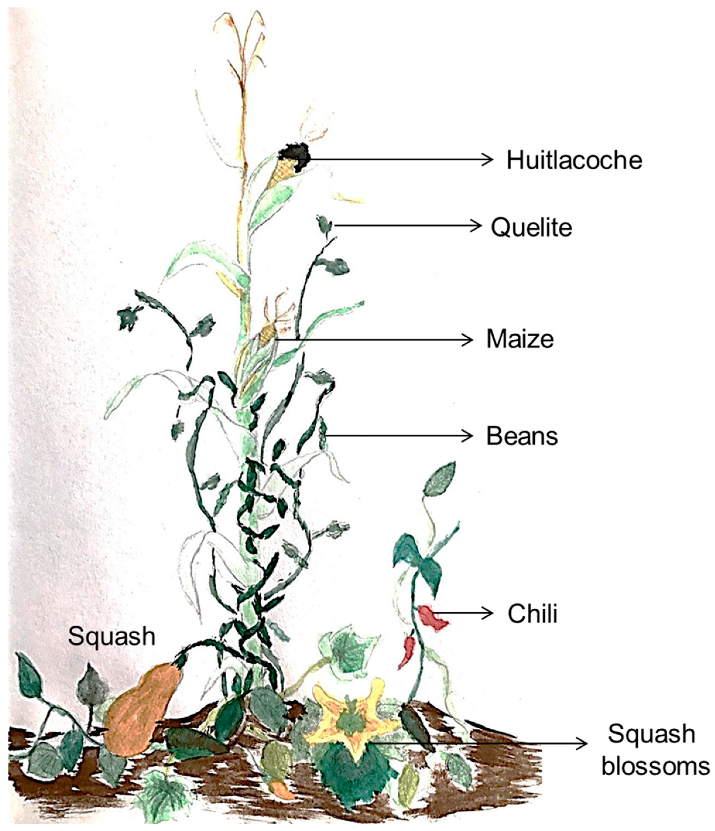Medicina 59 01907 g001