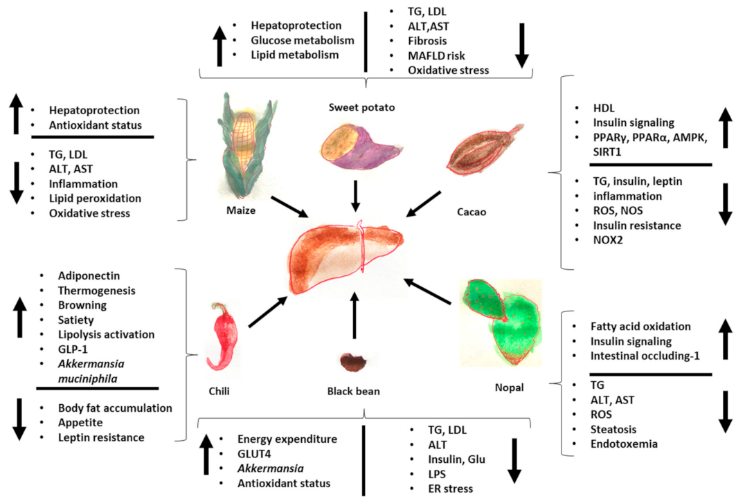 Medicina 59 01907 g002