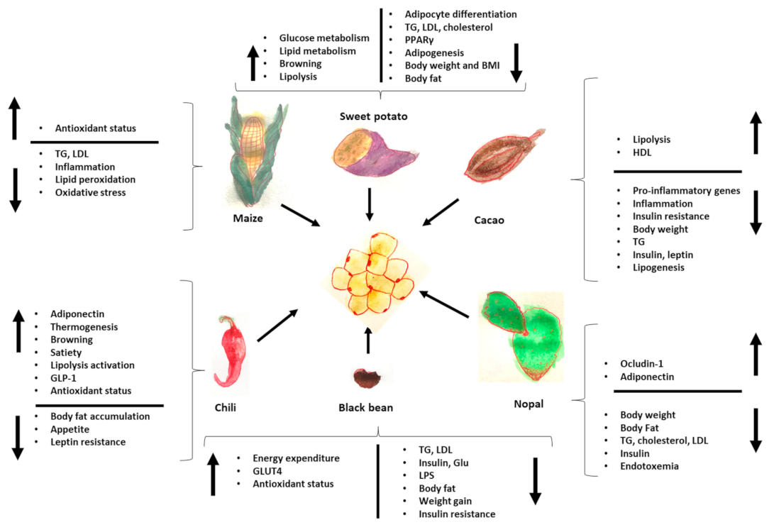 Medicina 59 01907 g003