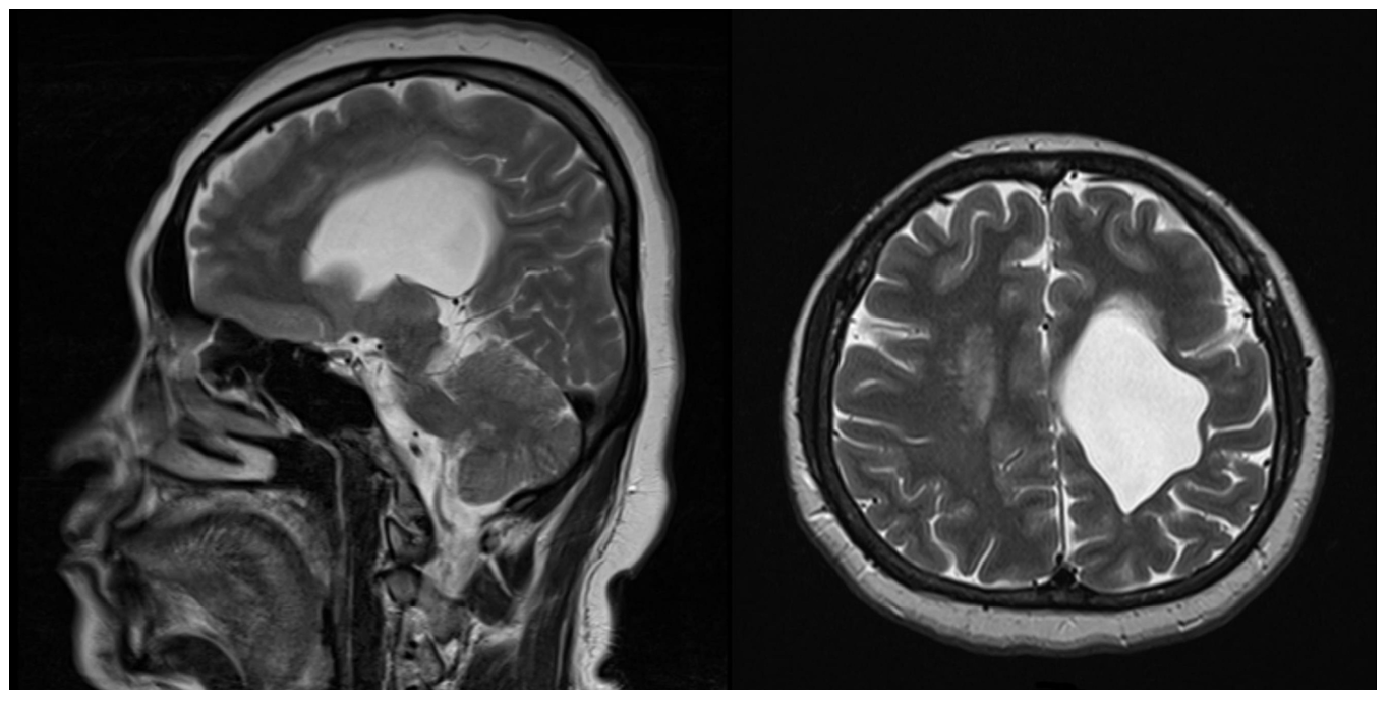 Medicina 59 01909 g001 Medicina 59 01909 g001