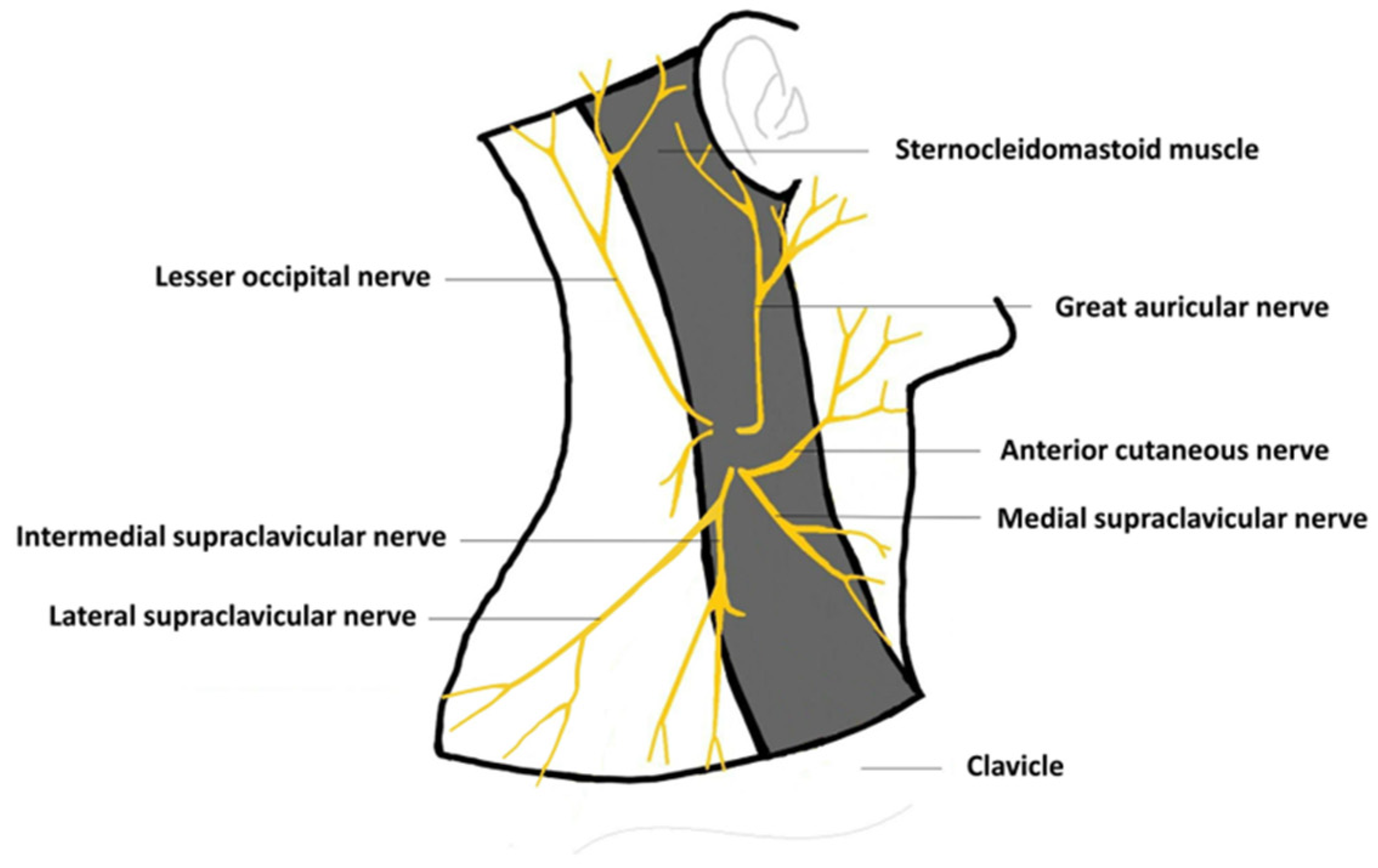 Medicina 59 01909 g003 Medicina 59 01909 g003