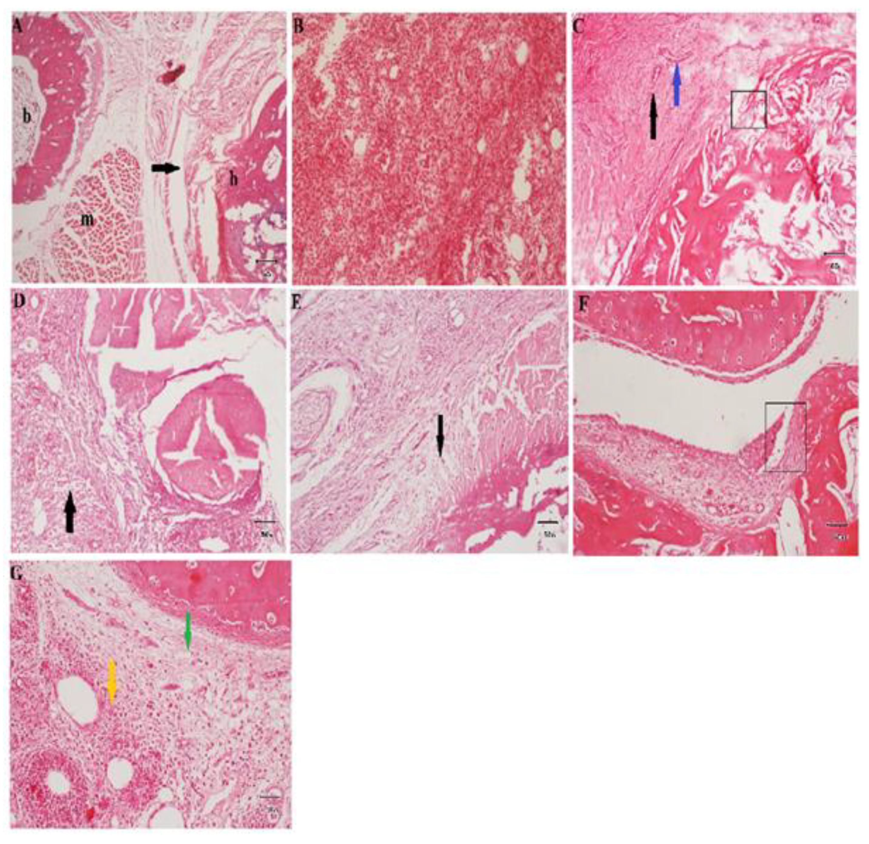 Medicina 59 01917 g002