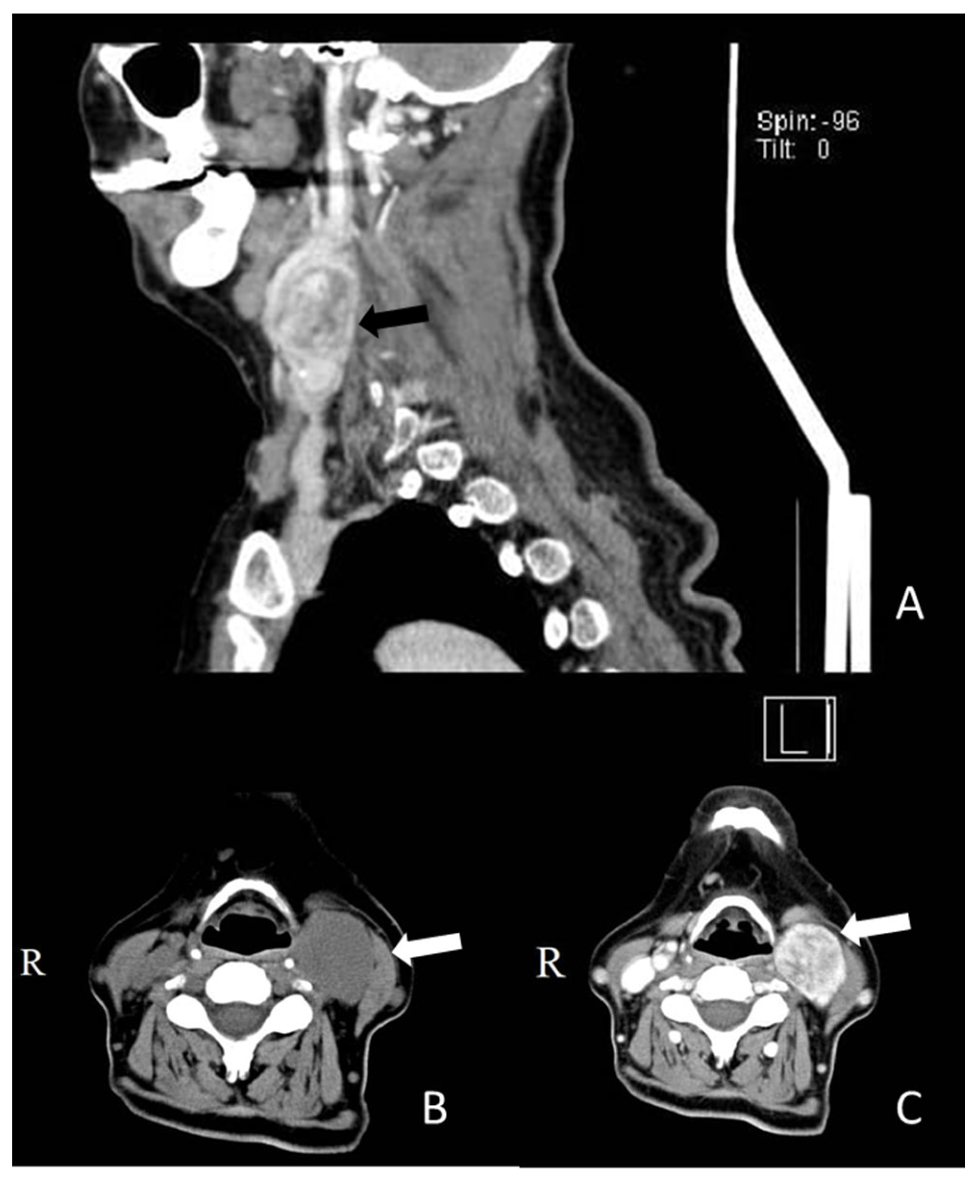 Medicina 59 01925 g001 Medicina 59 01925 g001