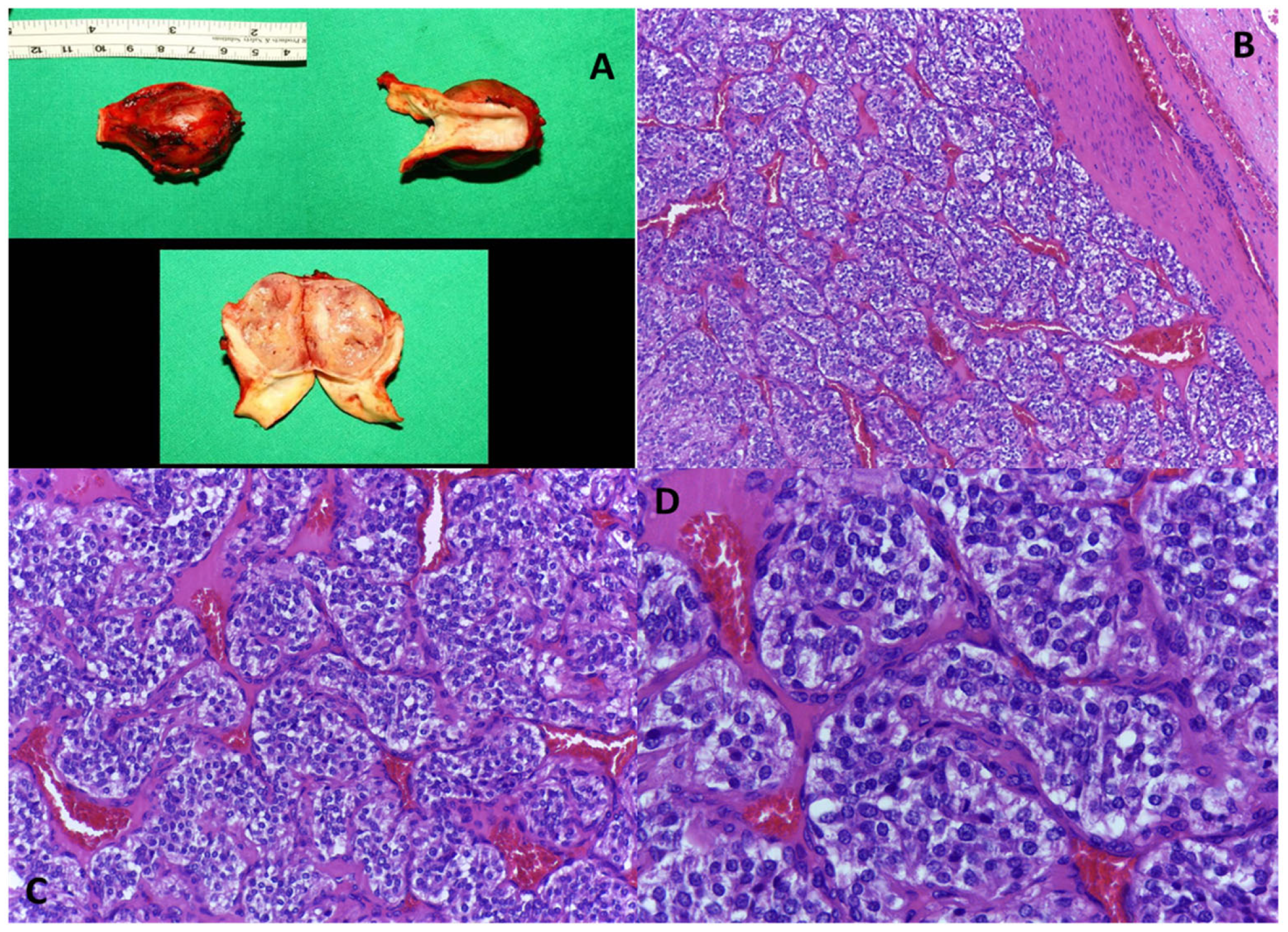Medicina 59 01925 g003 Medicina 59 01925 g003