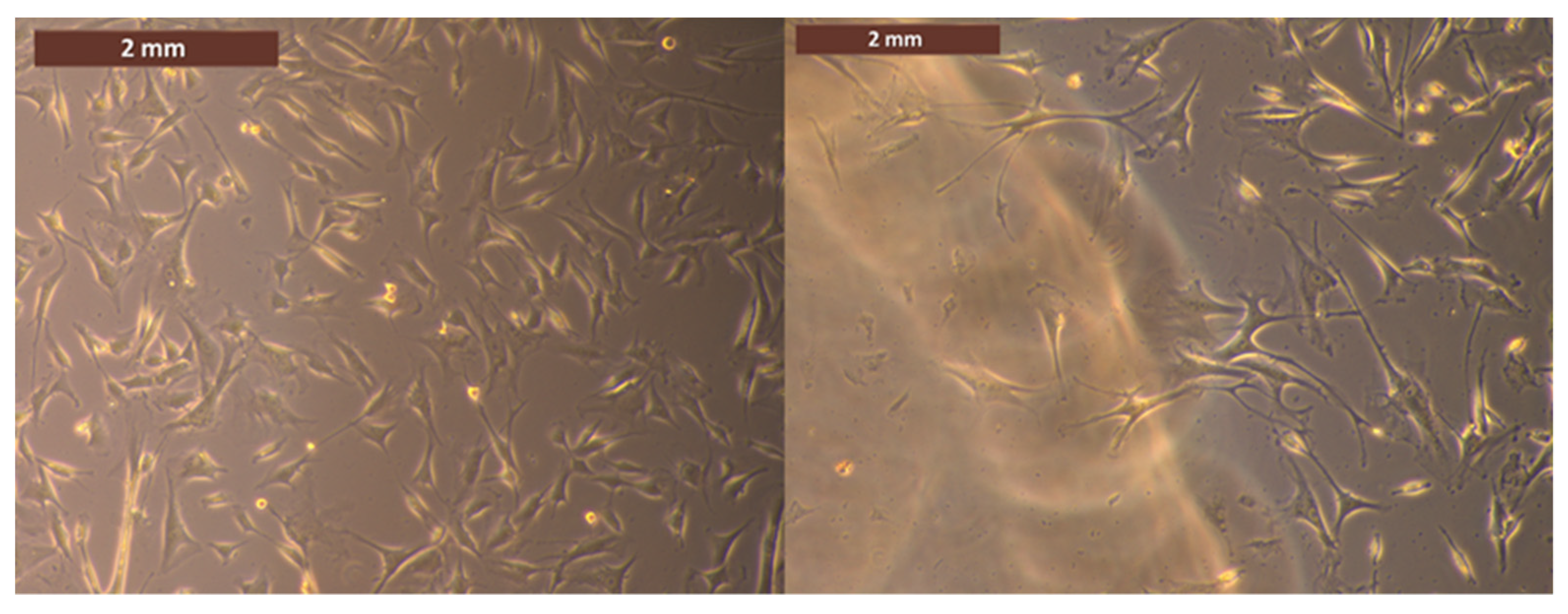 Medicina 59 01936 g008