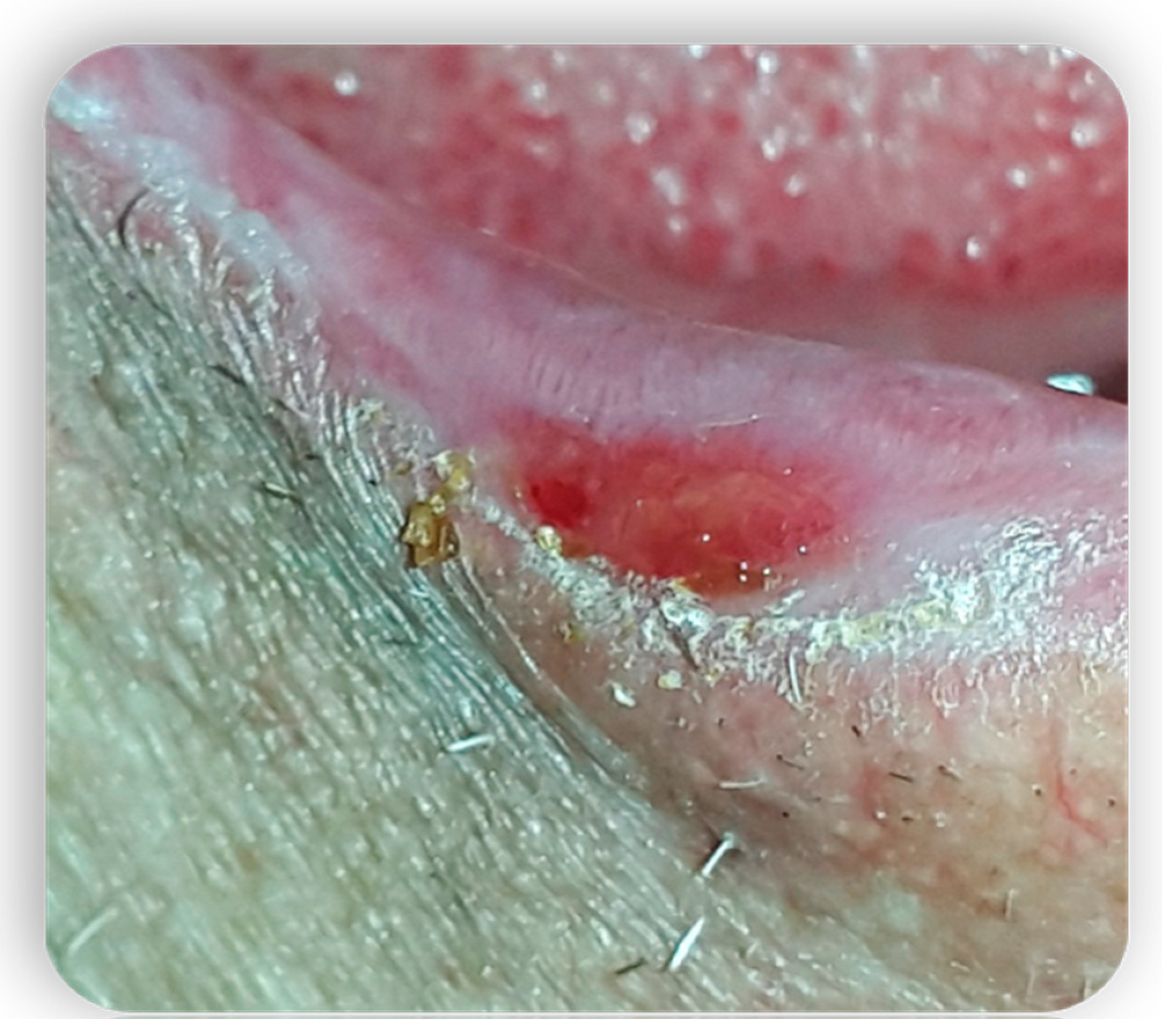 Medicina 59 01937 g004