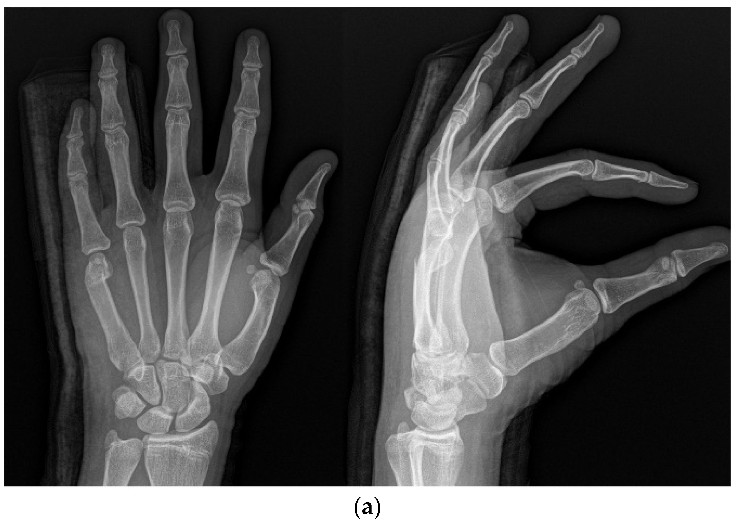 Medicina 59 01944 g002a
