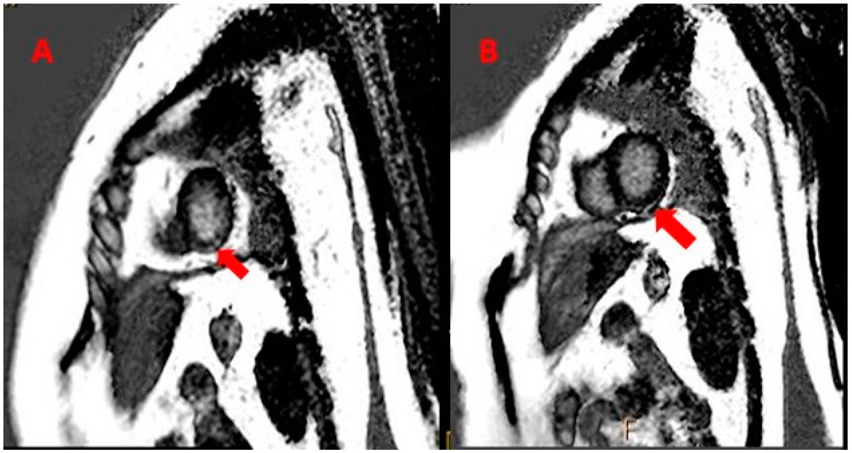 Medicina 59 01946 g003