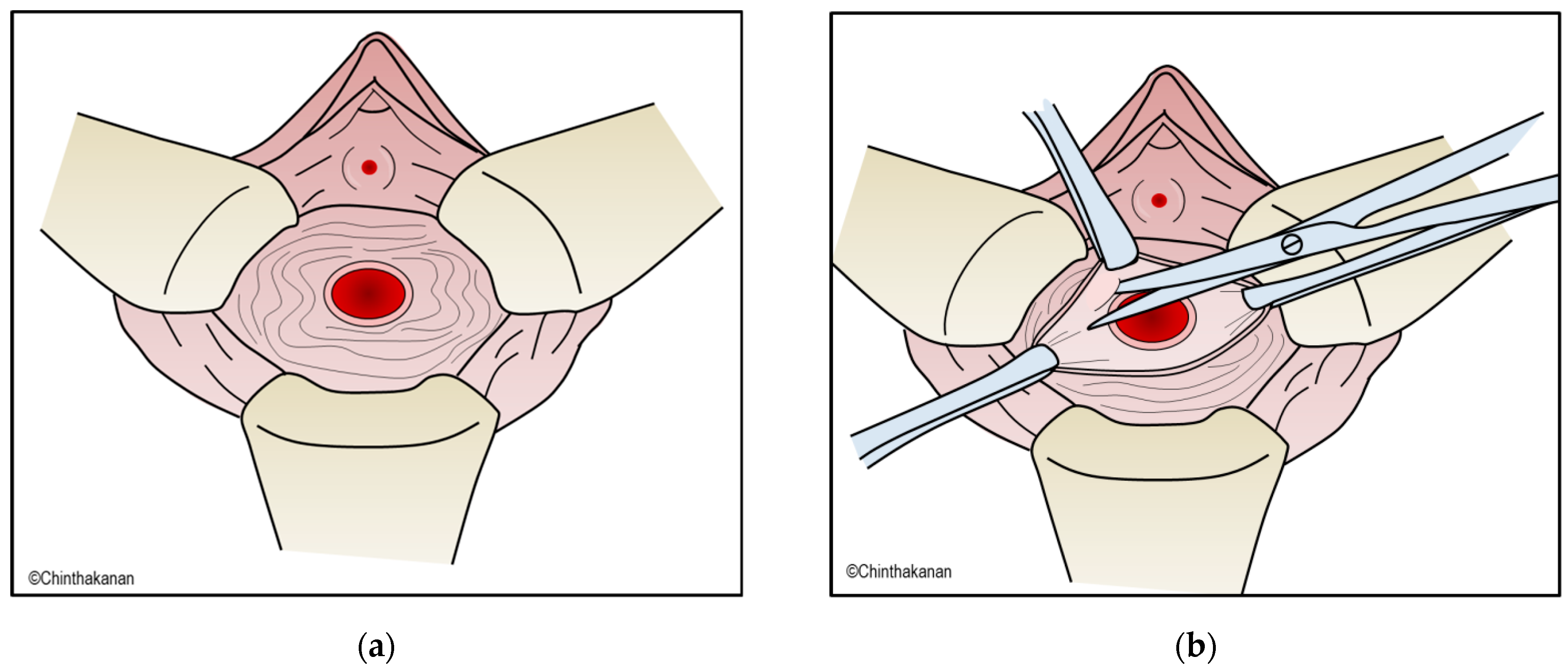 Medicina 59 01947 g003a