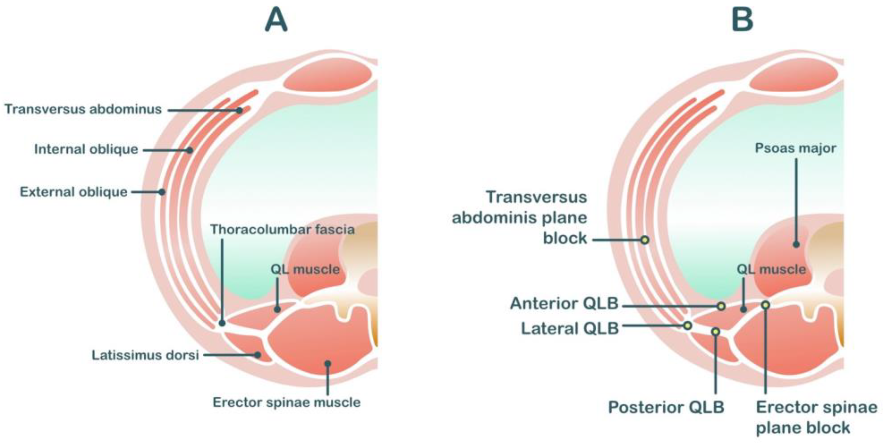 Medicina 59 01951 g002