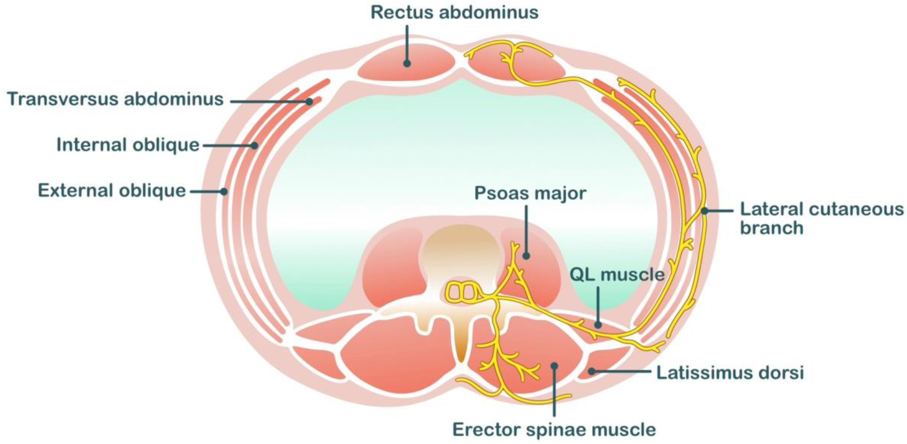 Medicina 59 01951 g003