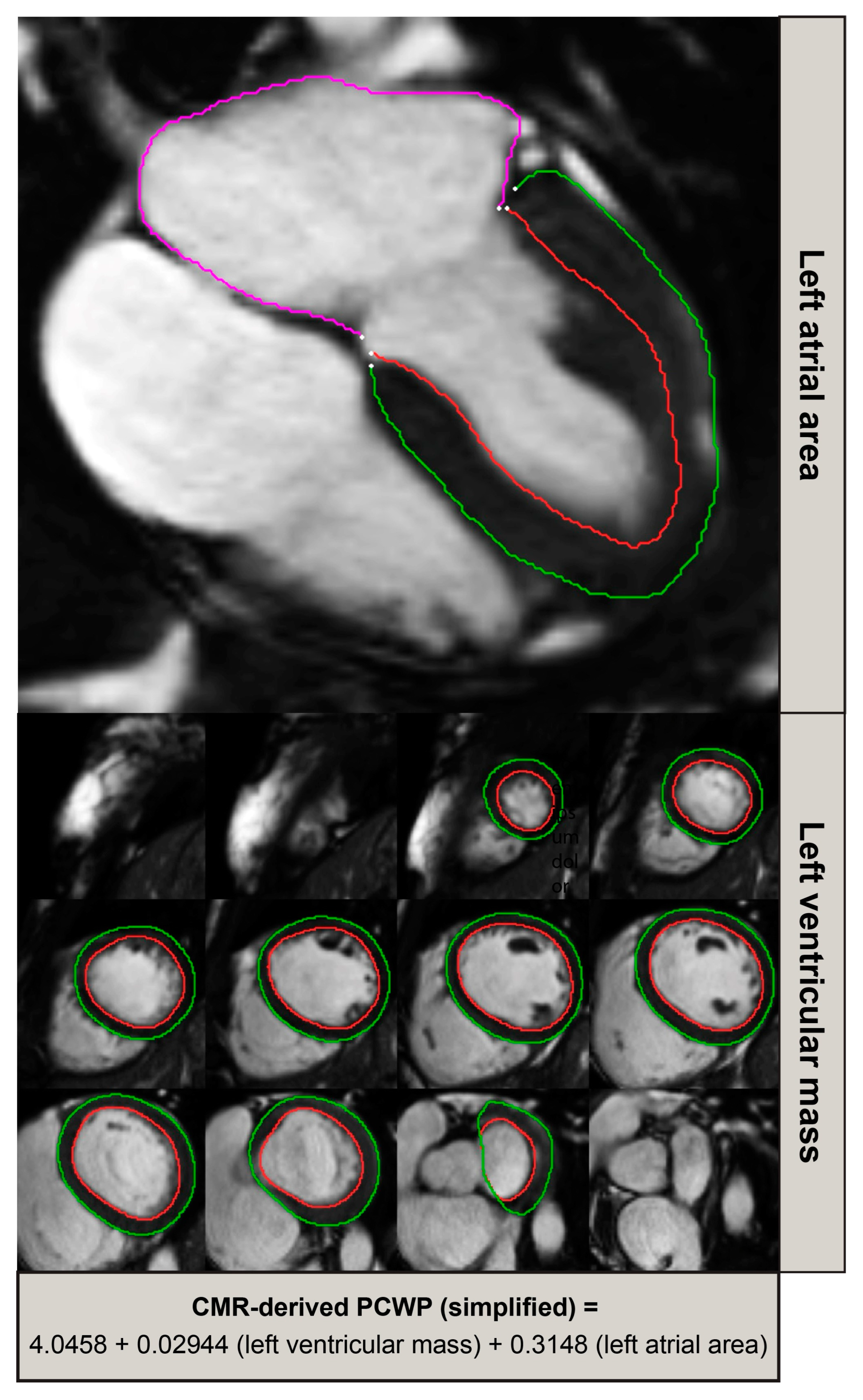 Medicina 59 01952 g001