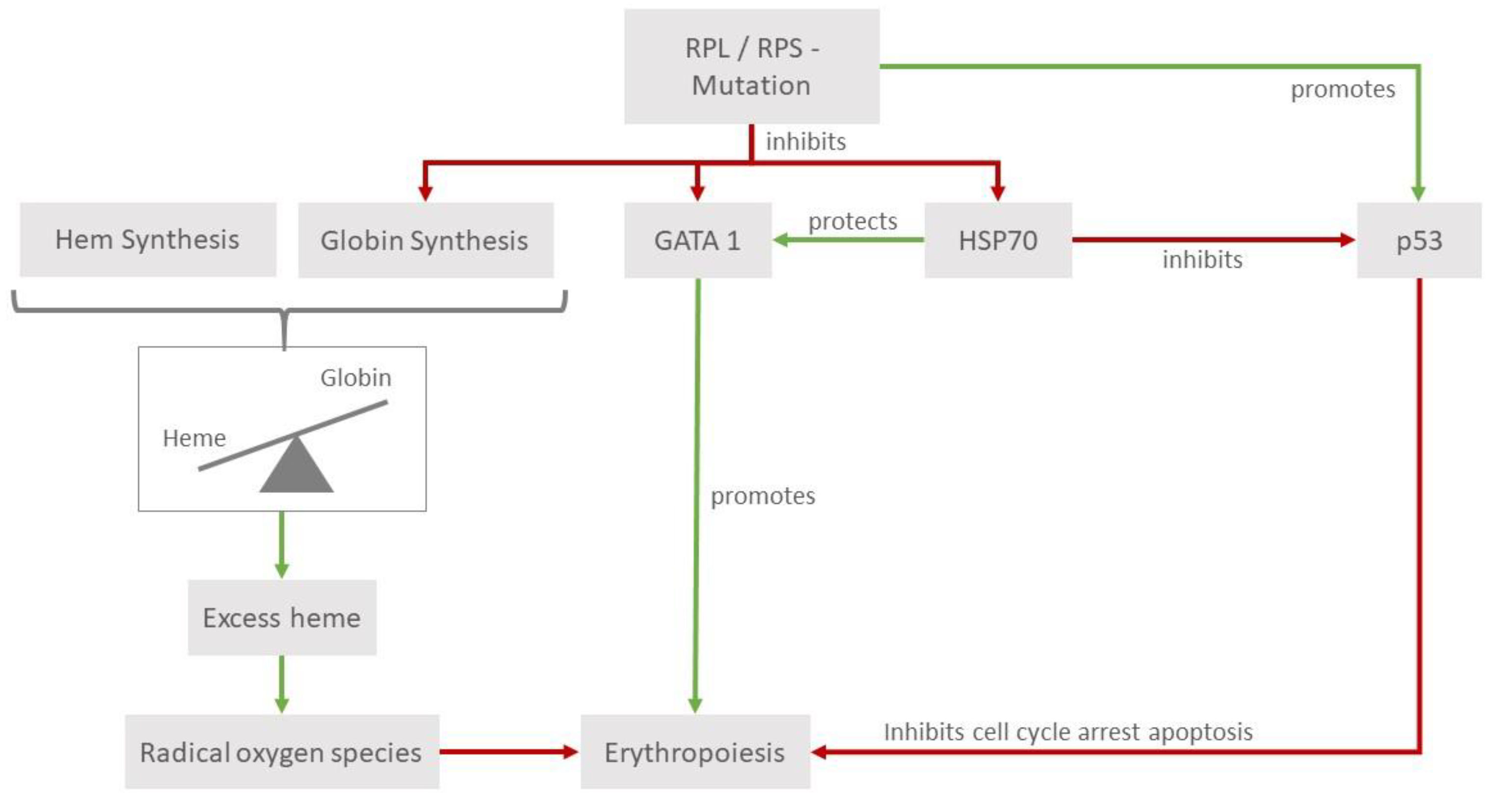 Medicina 59 01953 g001 Medicina 59 01953 g001