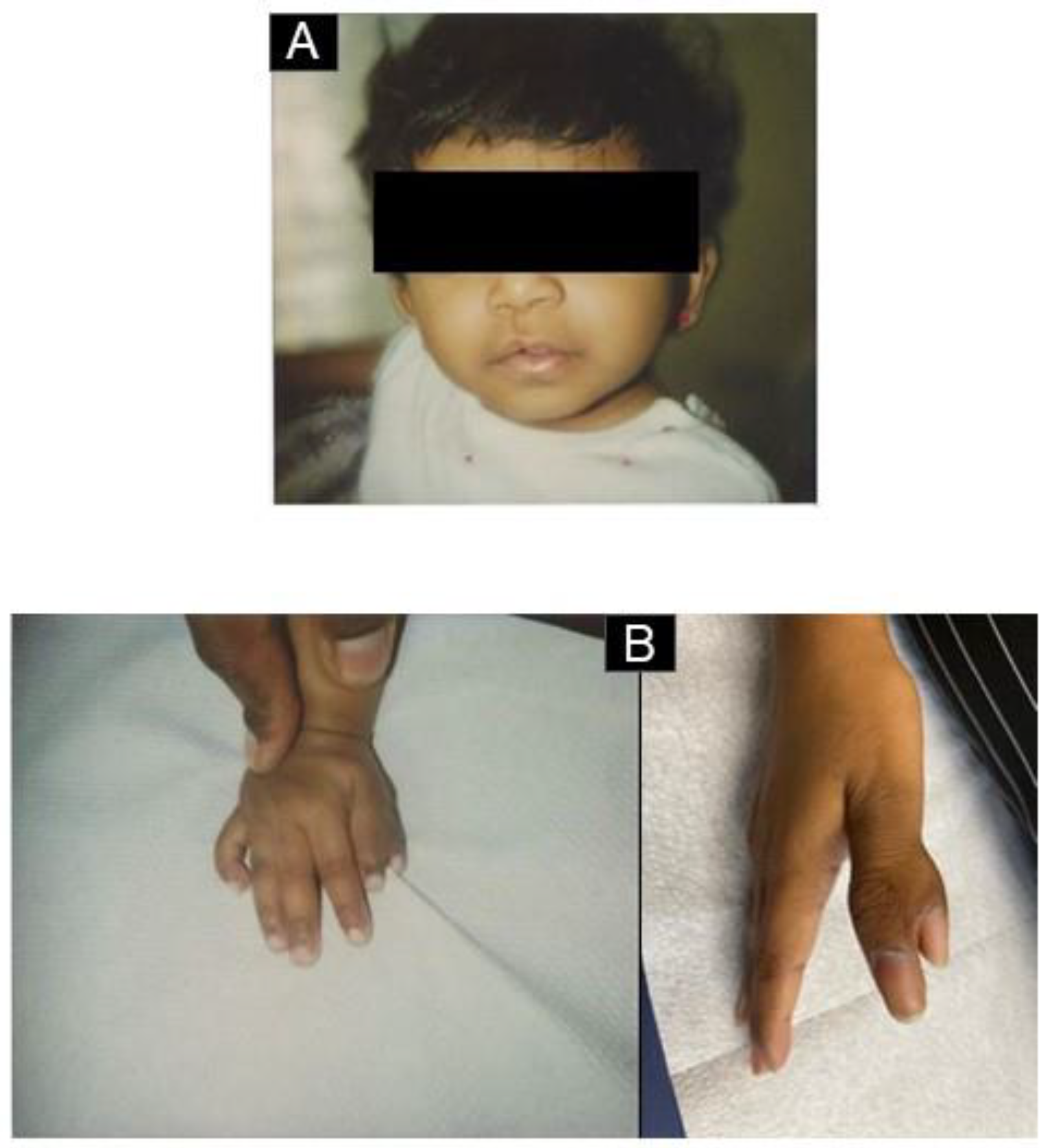 Medicina 59 01953 g002a Medicina 59 01953 g002a