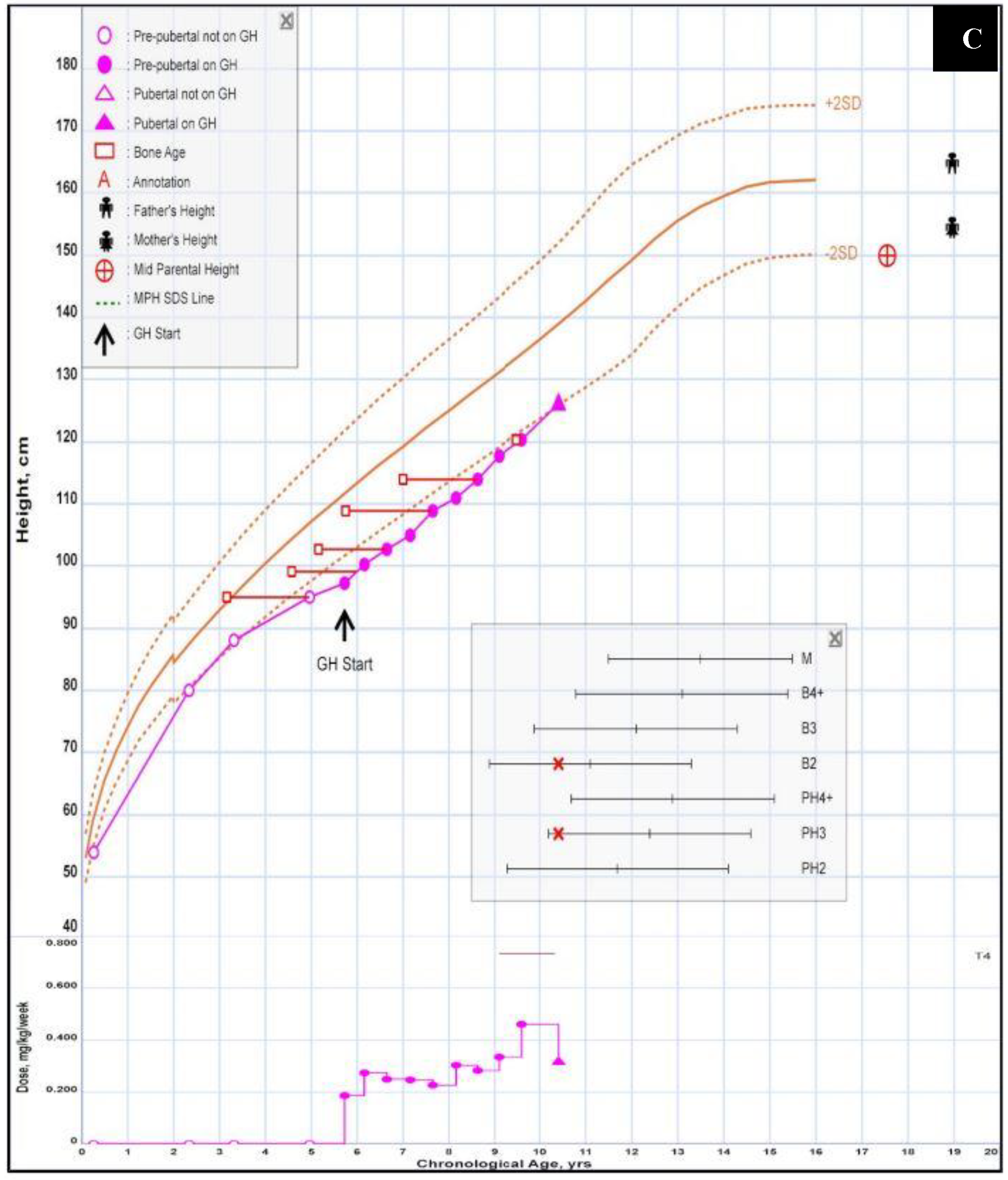 Medicina 59 01953 g002b Medicina 59 01953 g002b