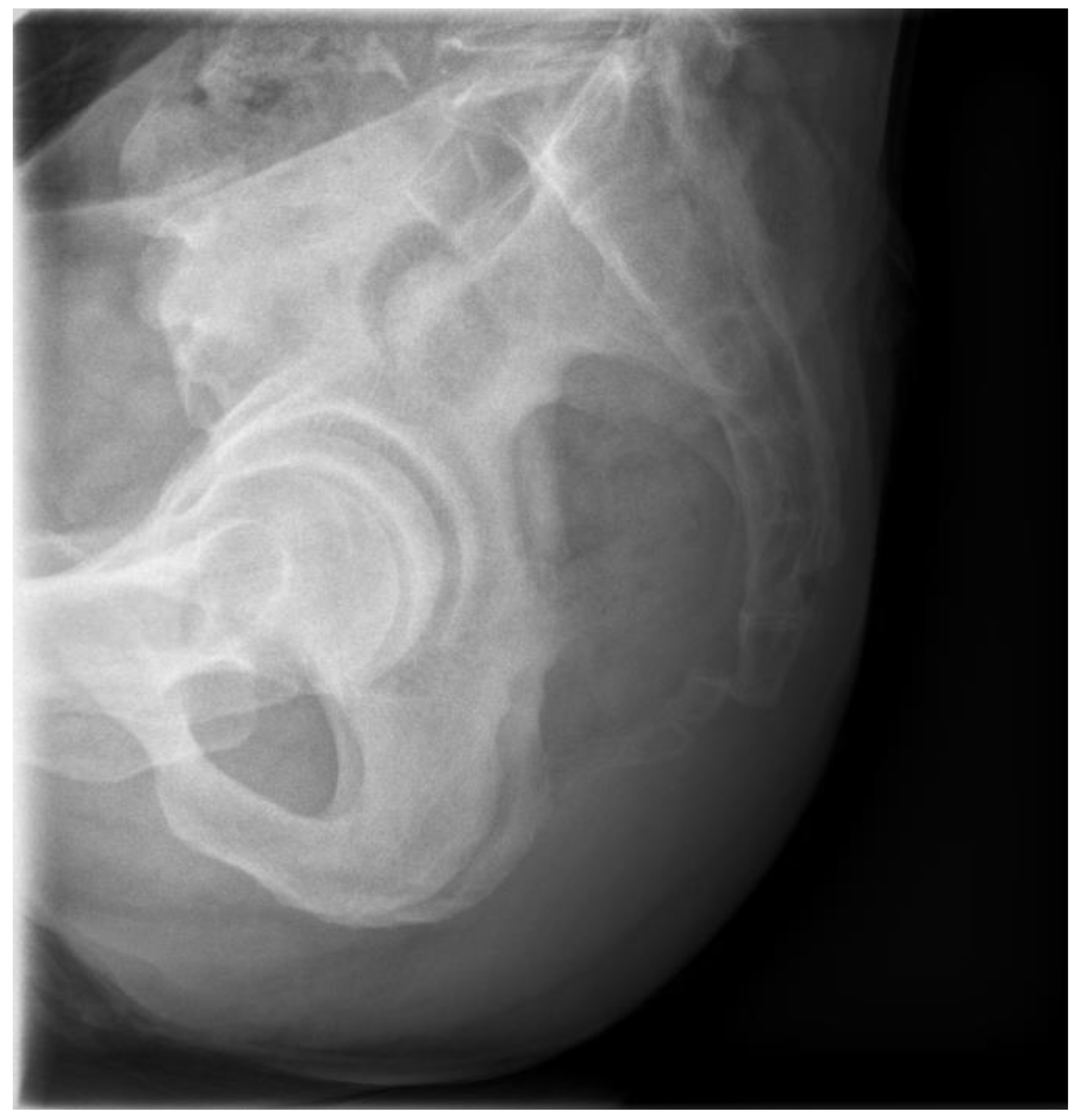 Medicina 59 01958 g001