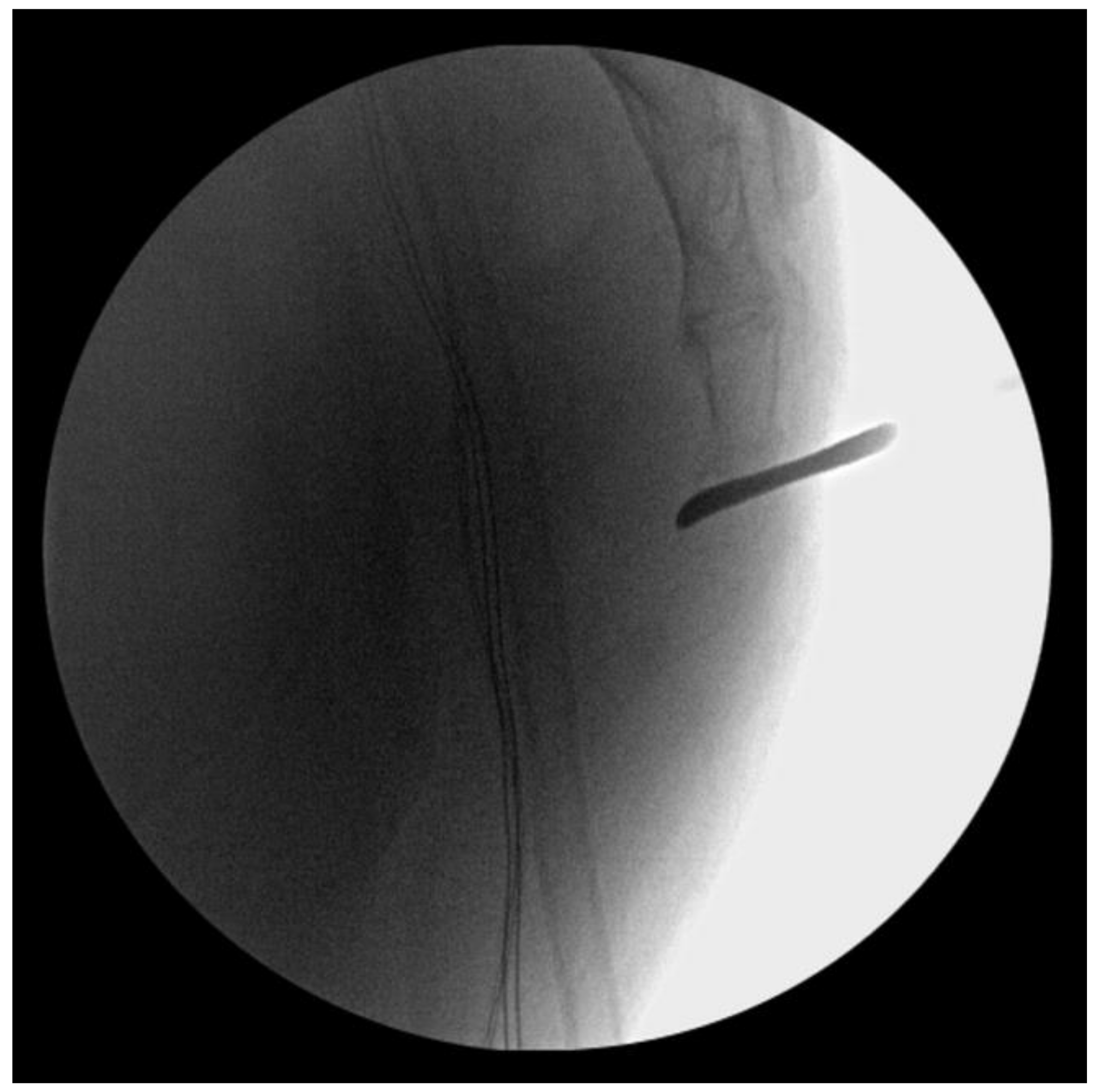 Medicina 59 01958 g003