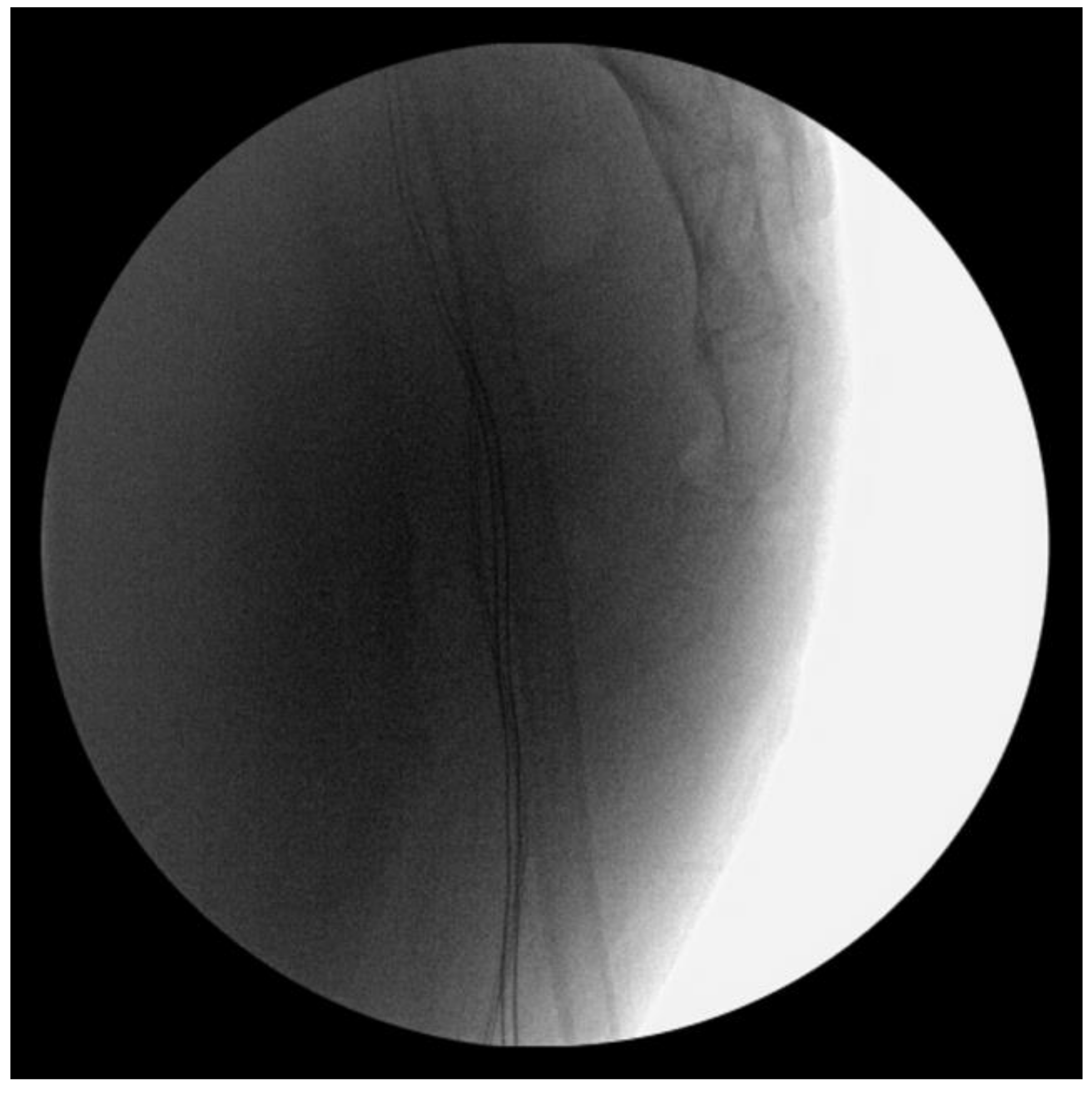 Medicina 59 01958 g004