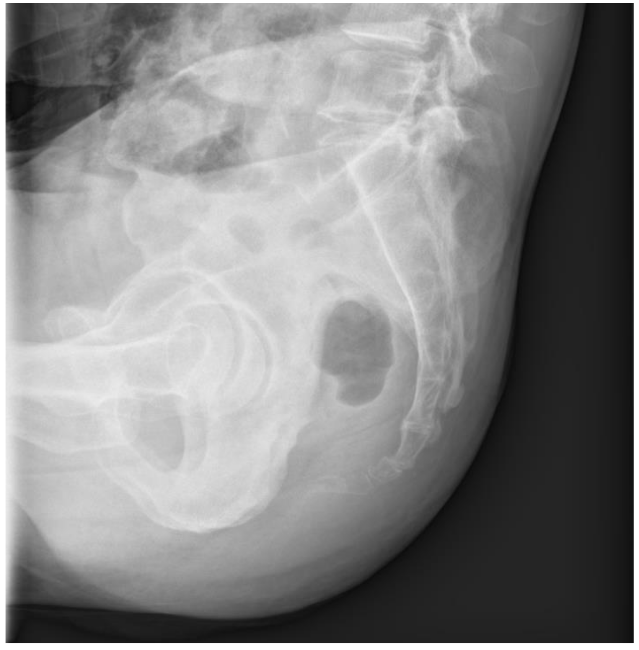 Medicina 59 01958 g006