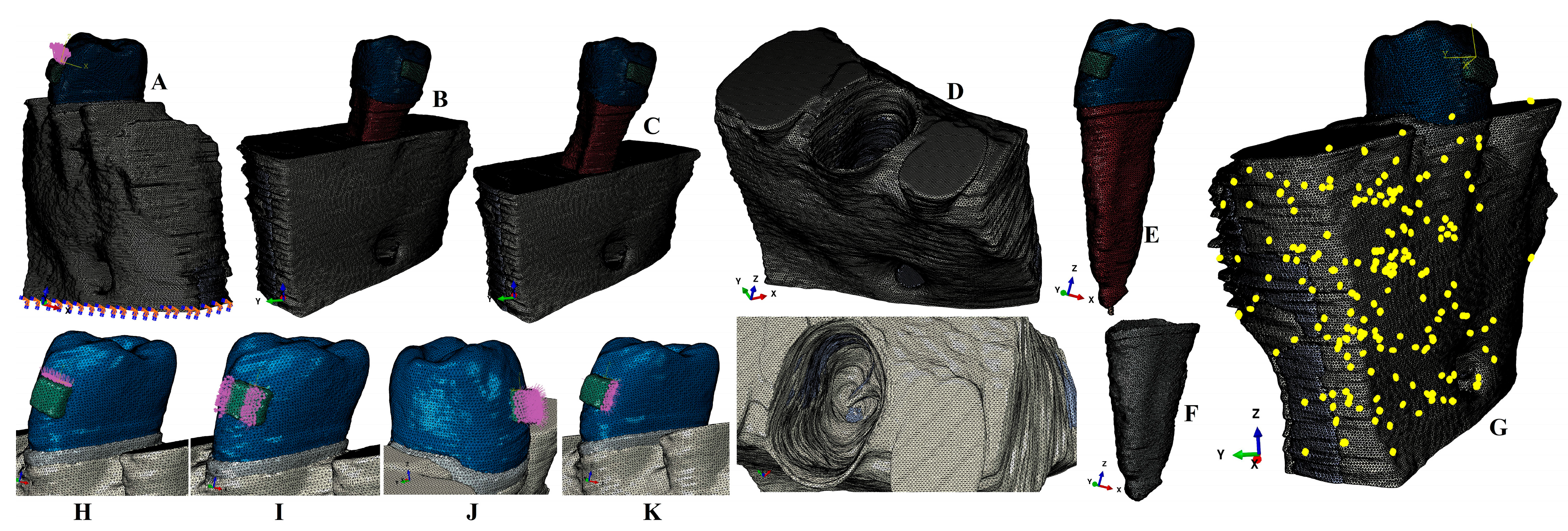 Medicina 59 01964 g001