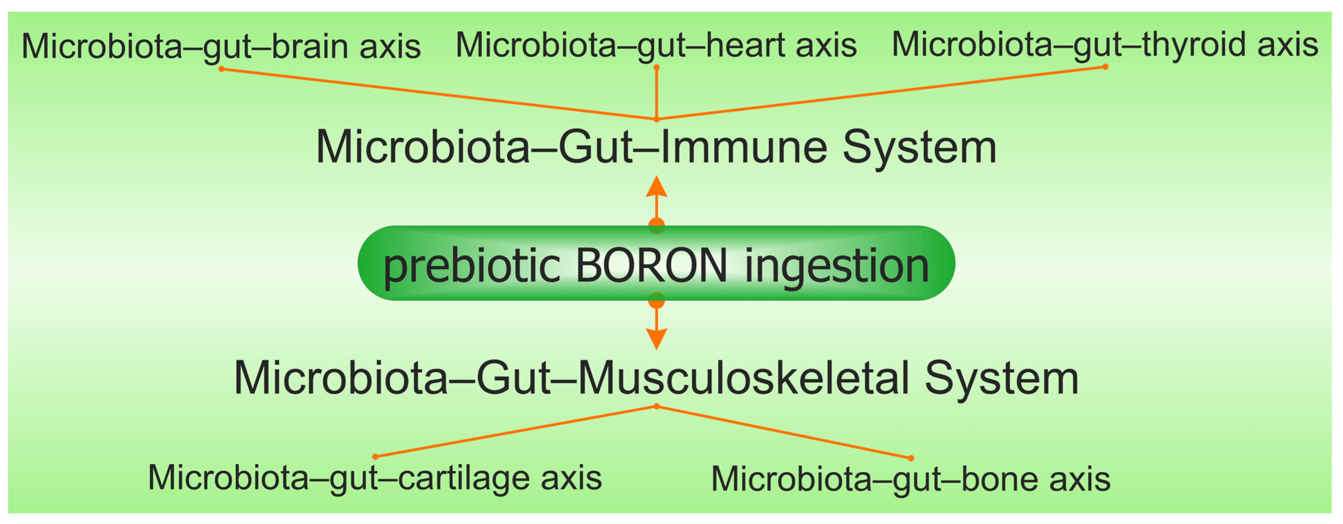 Microbiota-Accessible Boron-Containing Compounds in Complex