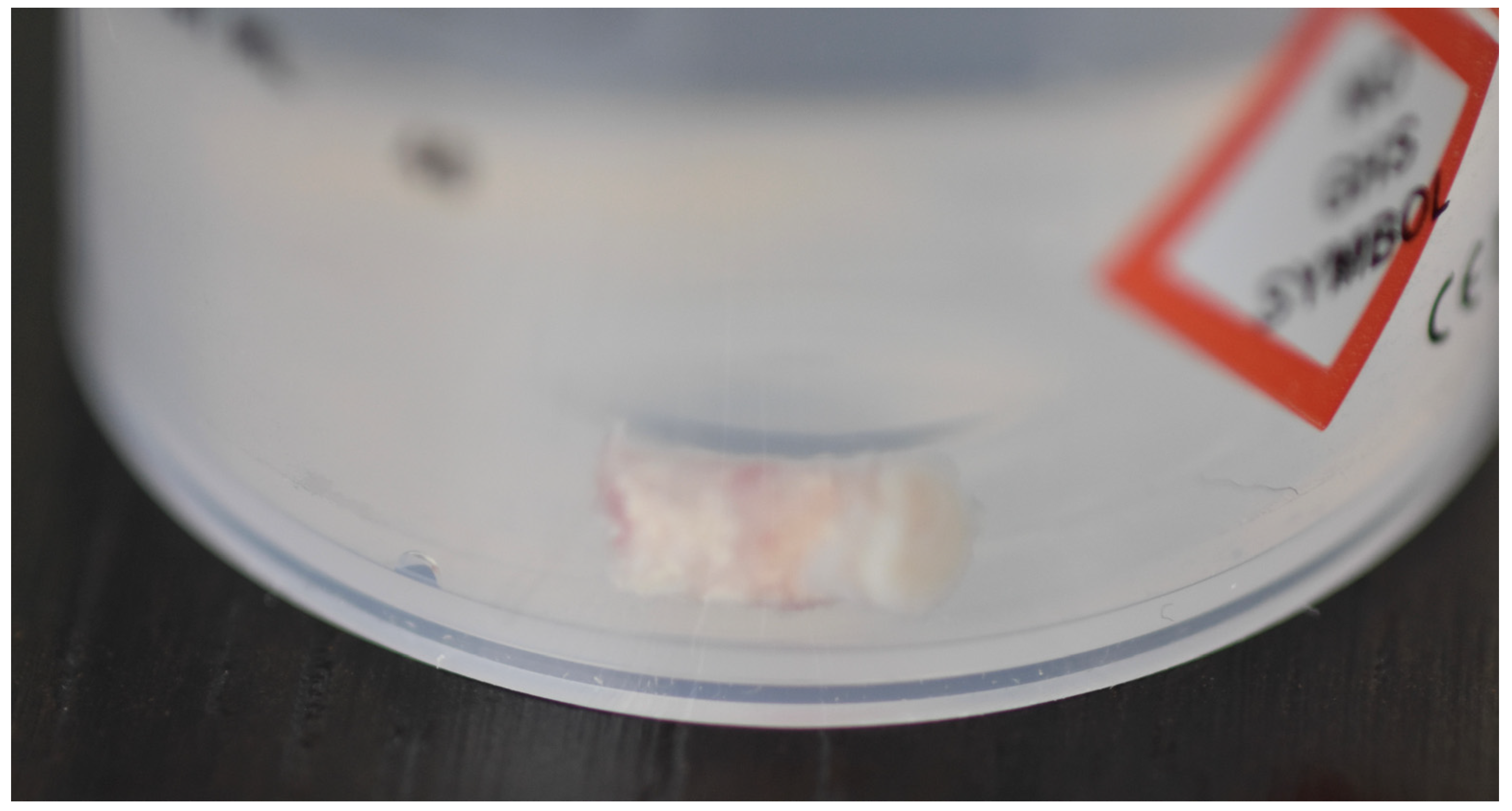 Medicina 59 01978 g010