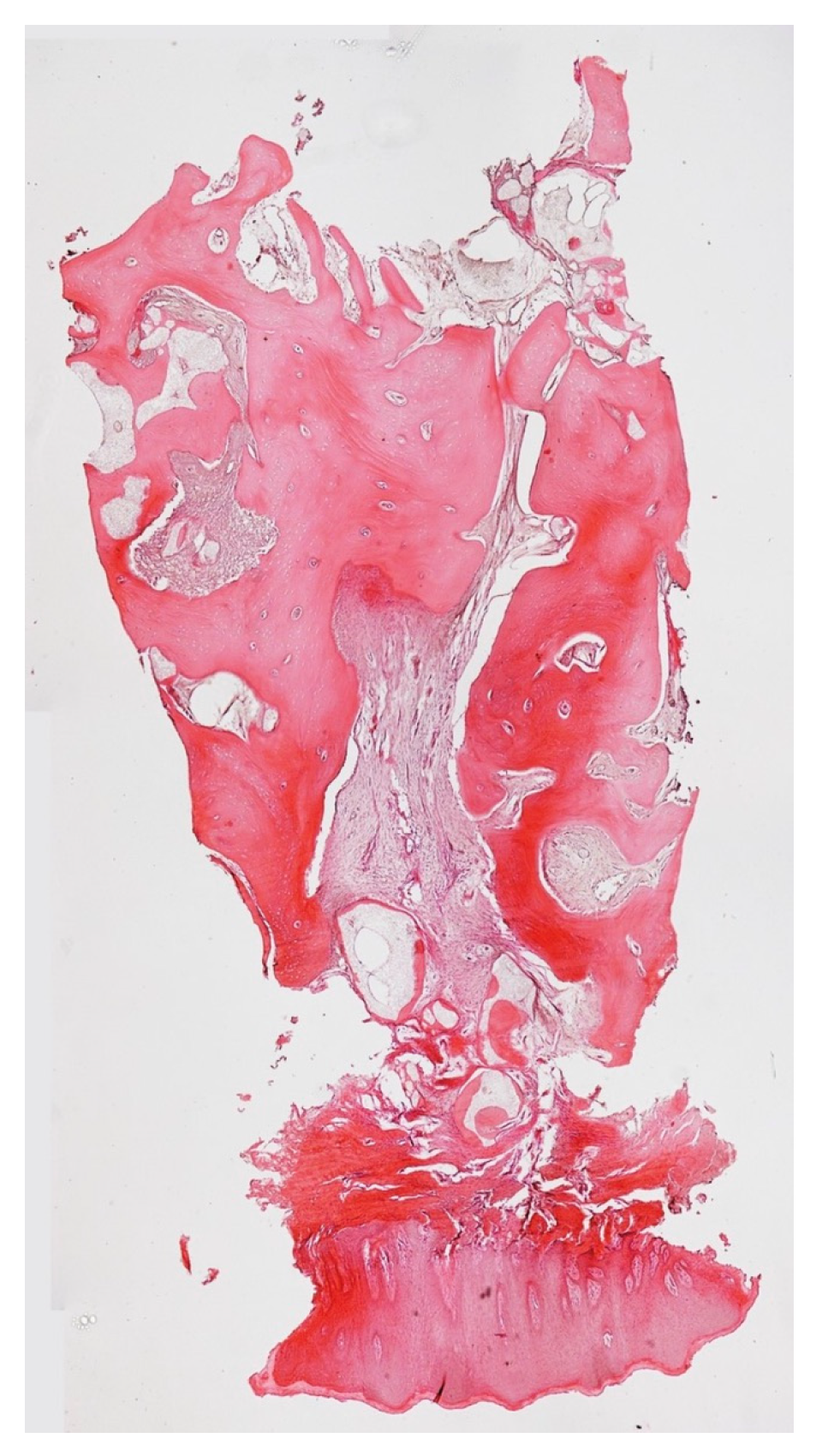 Medicina 59 01978 g017