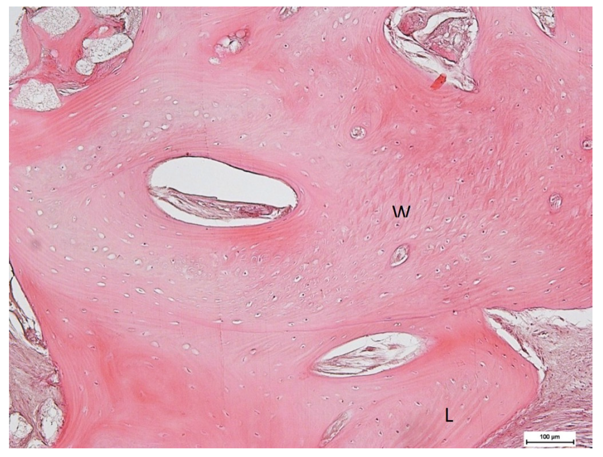Medicina 59 01978 g018