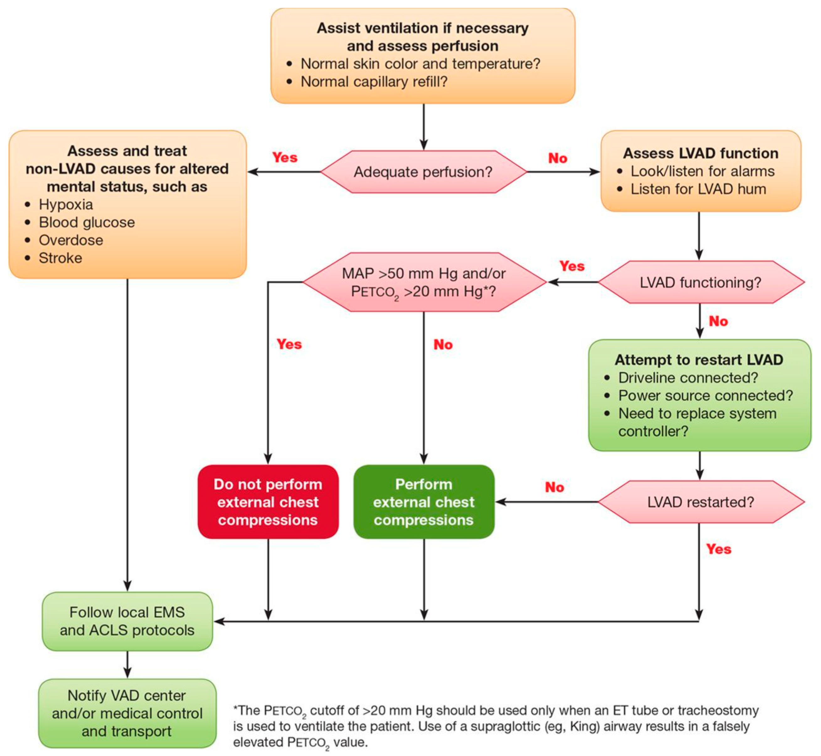 Medicina 59 01981 g001