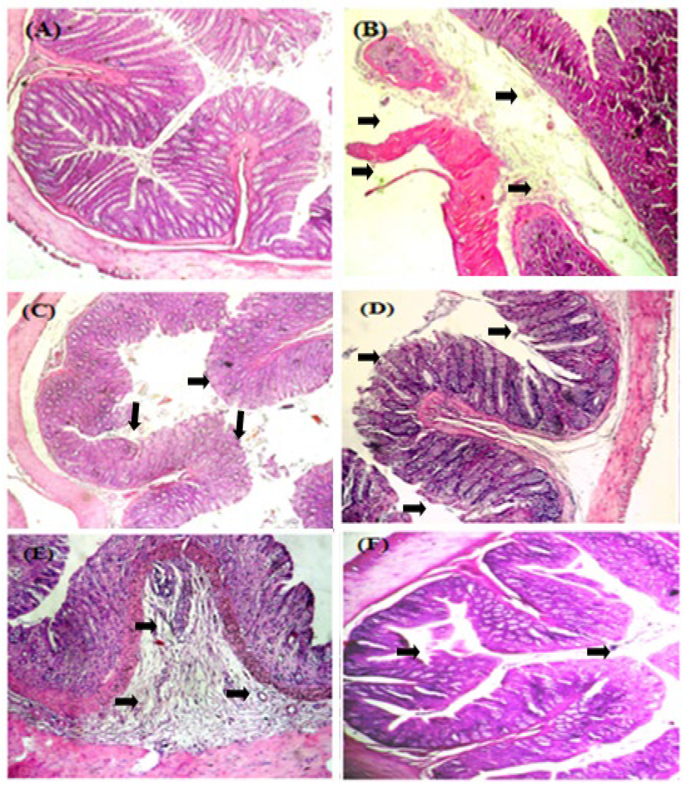 Medicina 59 01990 g002