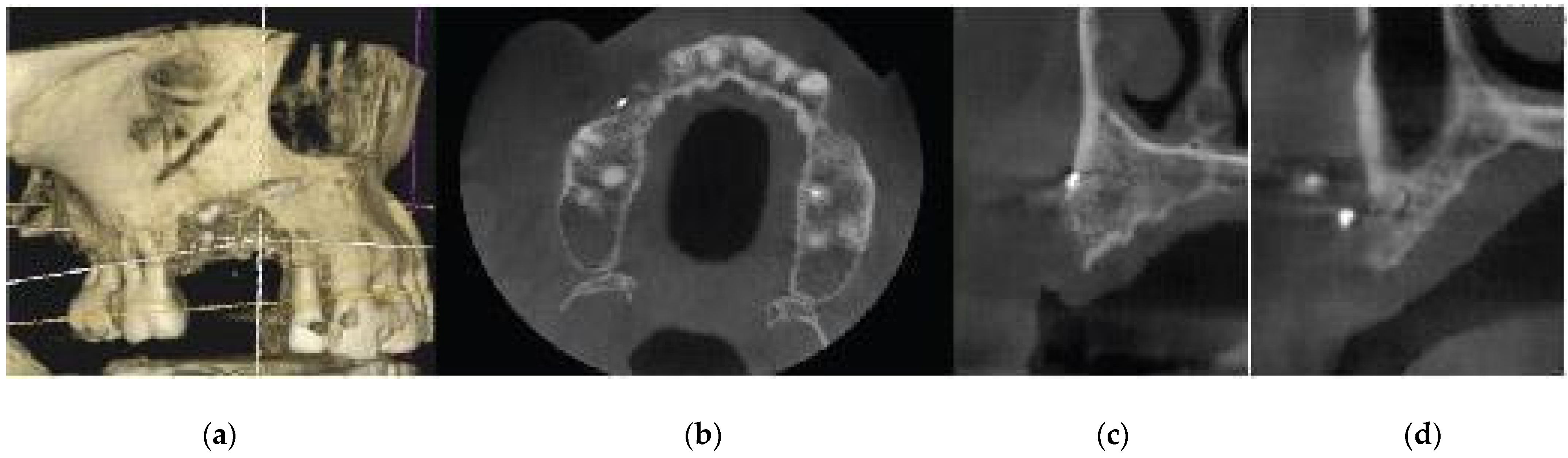 Medicina 59 01994 g001