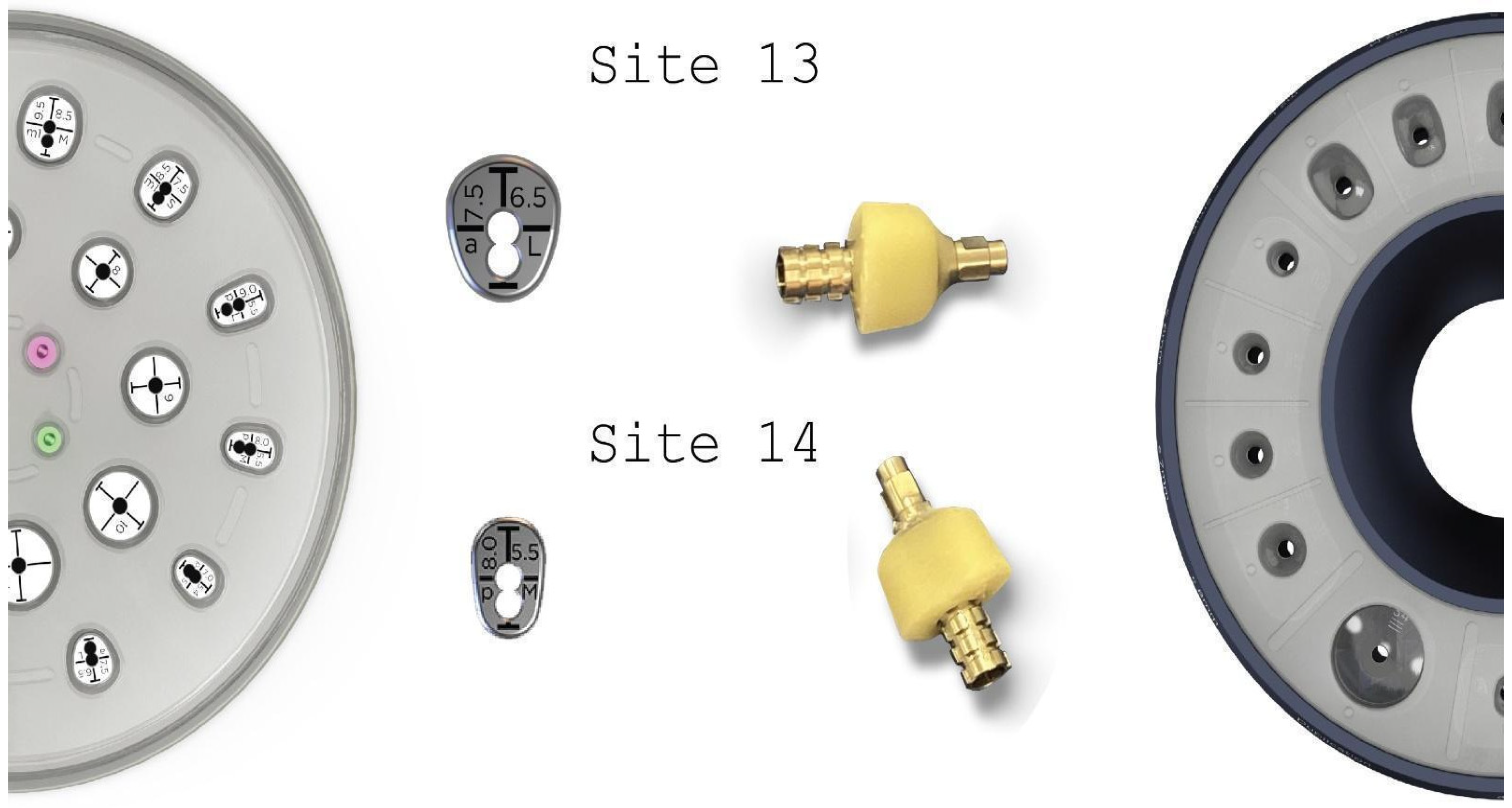 Medicina 59 01994 g012