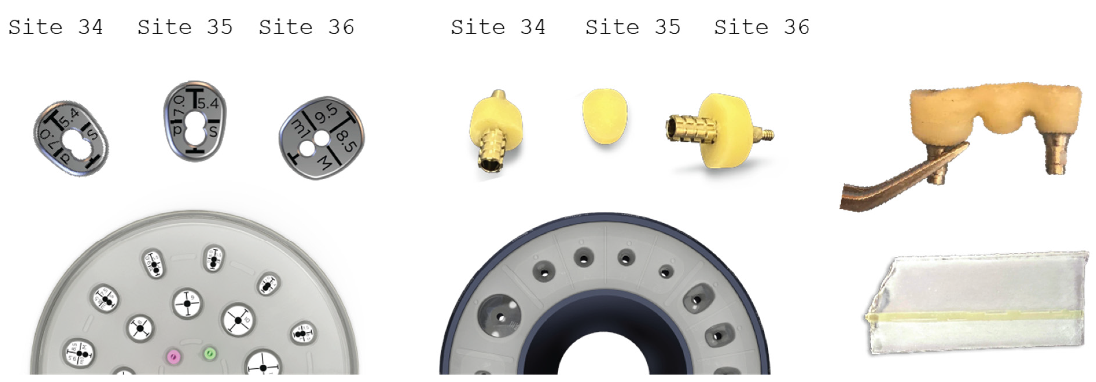 Medicina 59 01994 g019