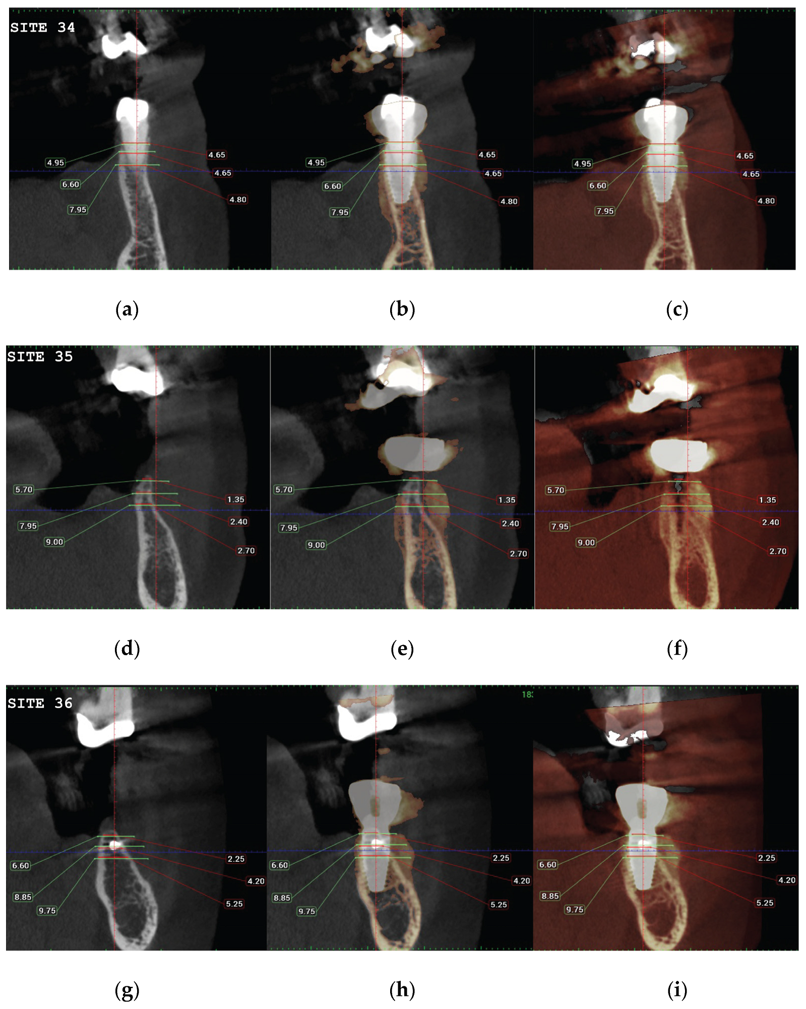 Medicina 59 01994 g022