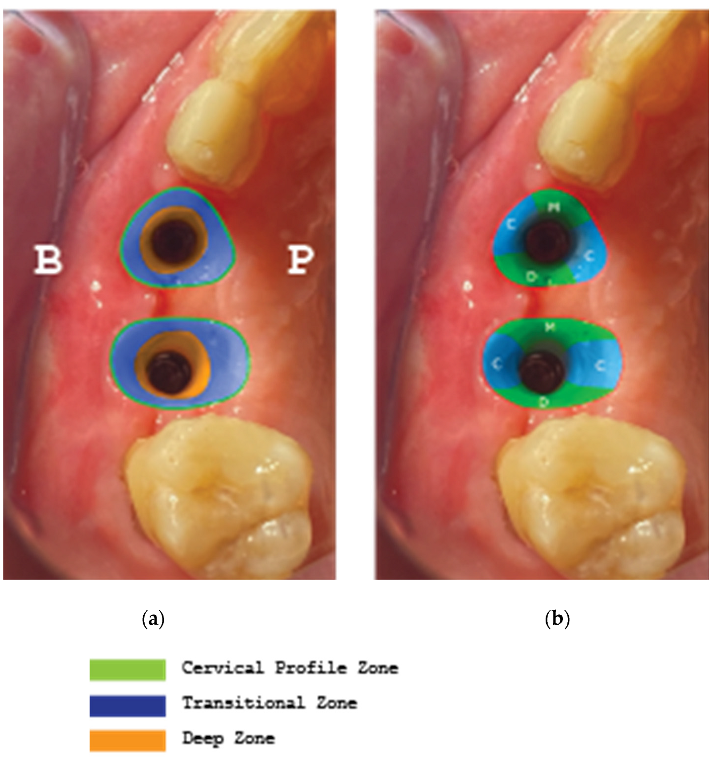 Medicina 59 01994 g026