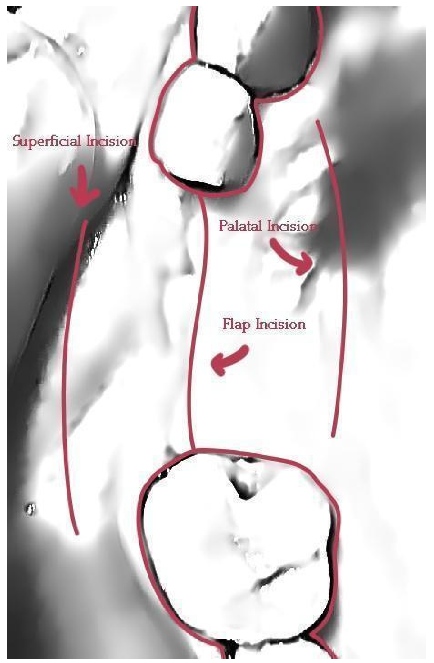 Medicina 59 01994 g029