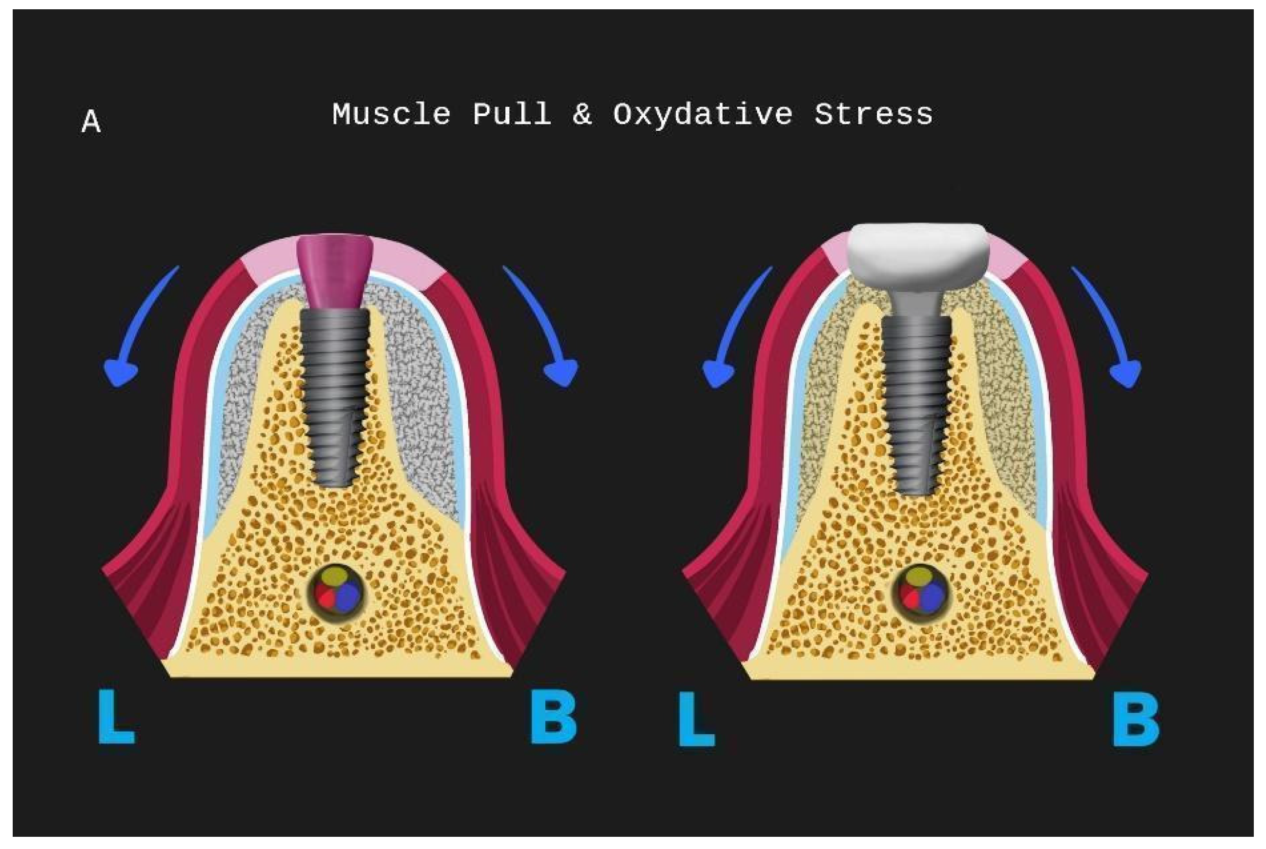 Medicina 59 01994 g032a