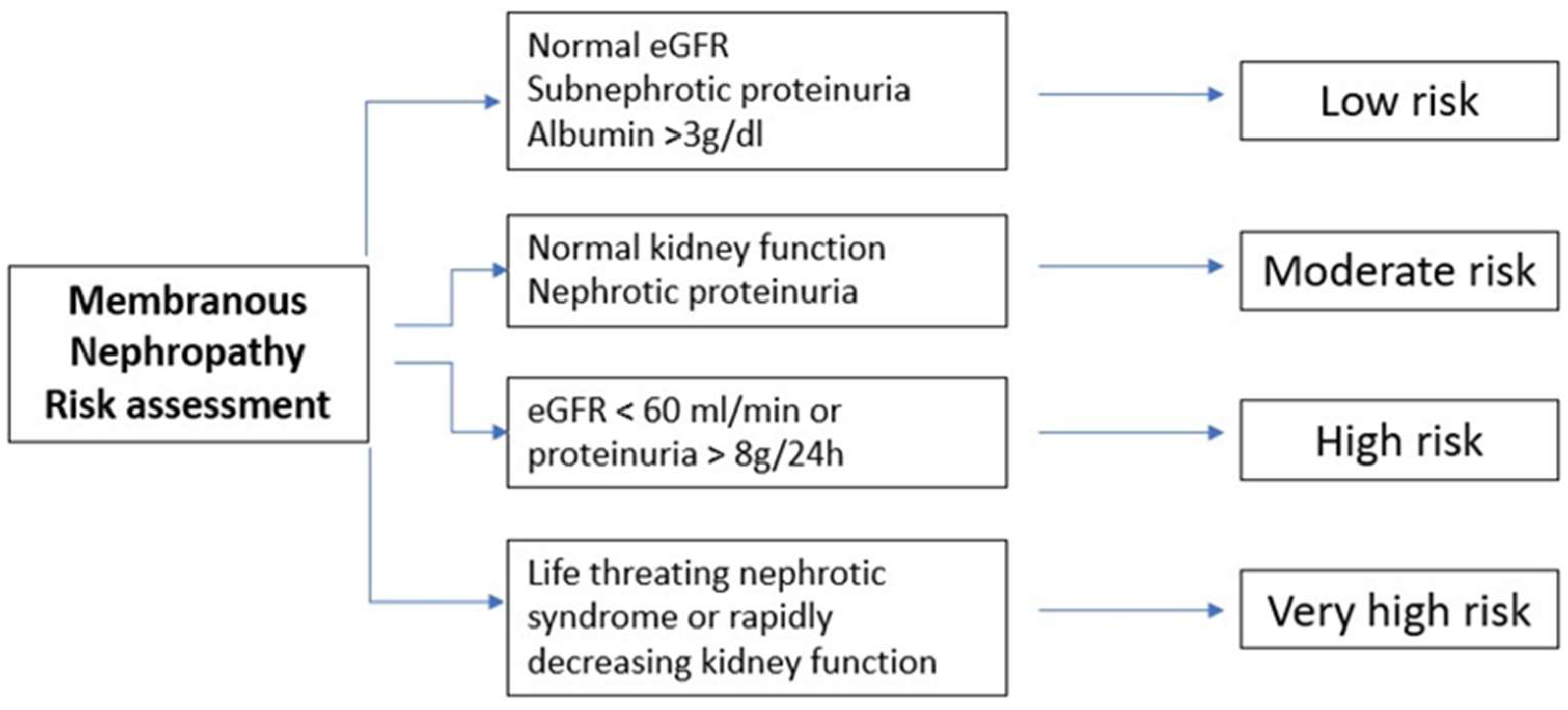 Medicina 59 01997 g003