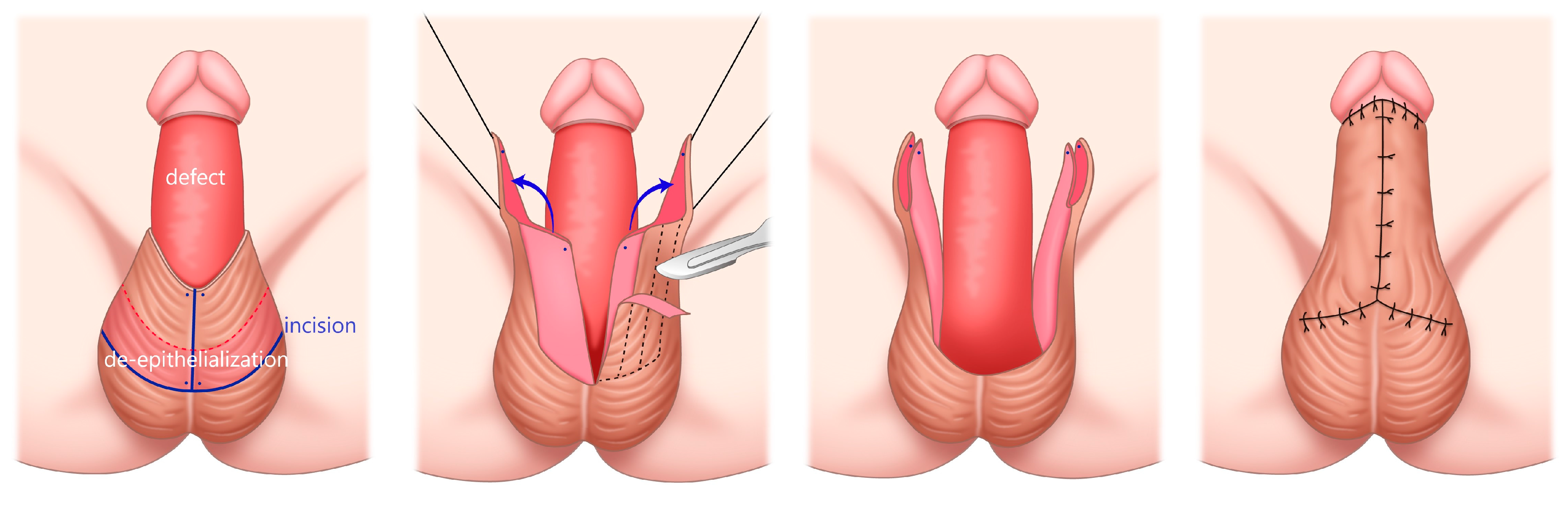 Medicina 59 01998 g002