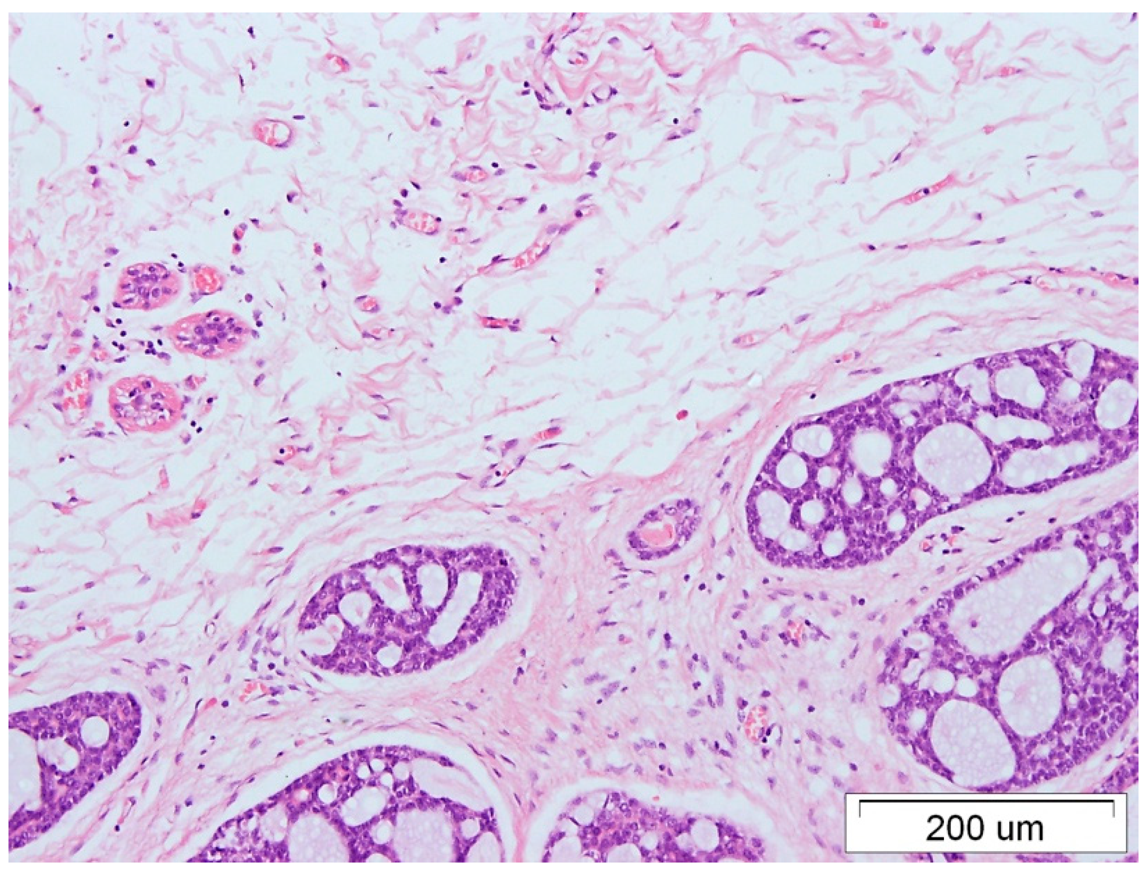 Medicina 59 02005 g001 Medicina 59 02005 g001