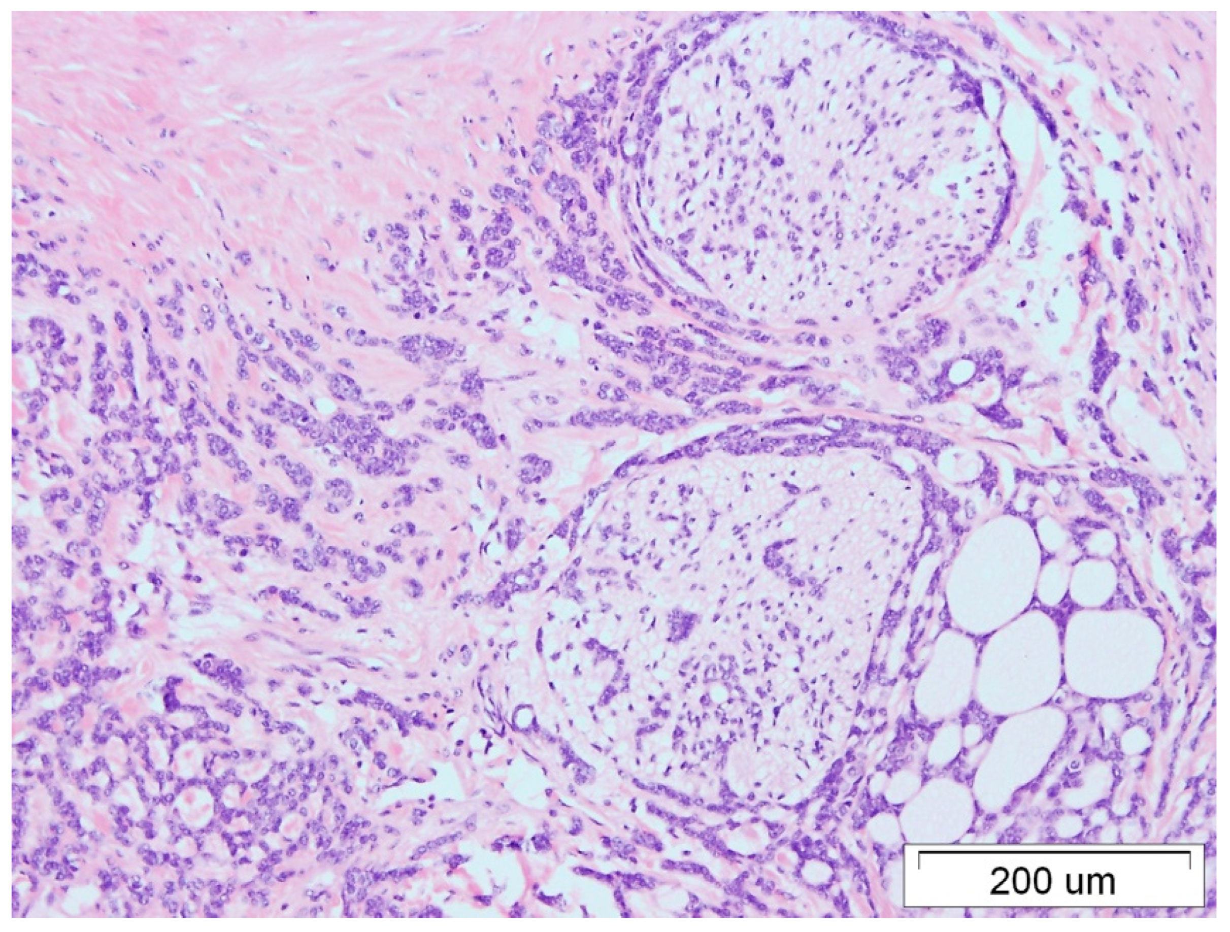 Medicina 59 02005 g004 Medicina 59 02005 g004
