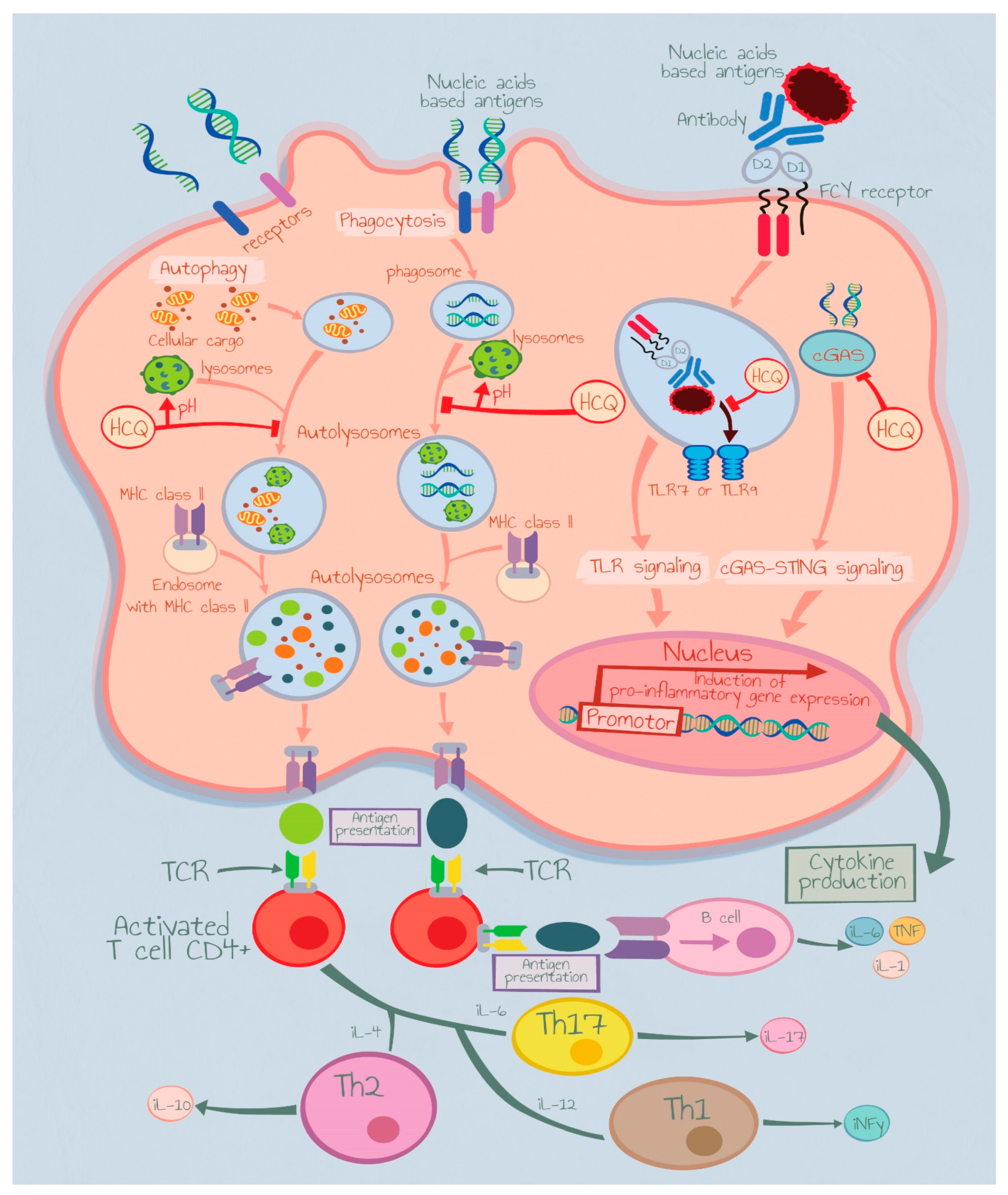 Medicina 59 02022 g001