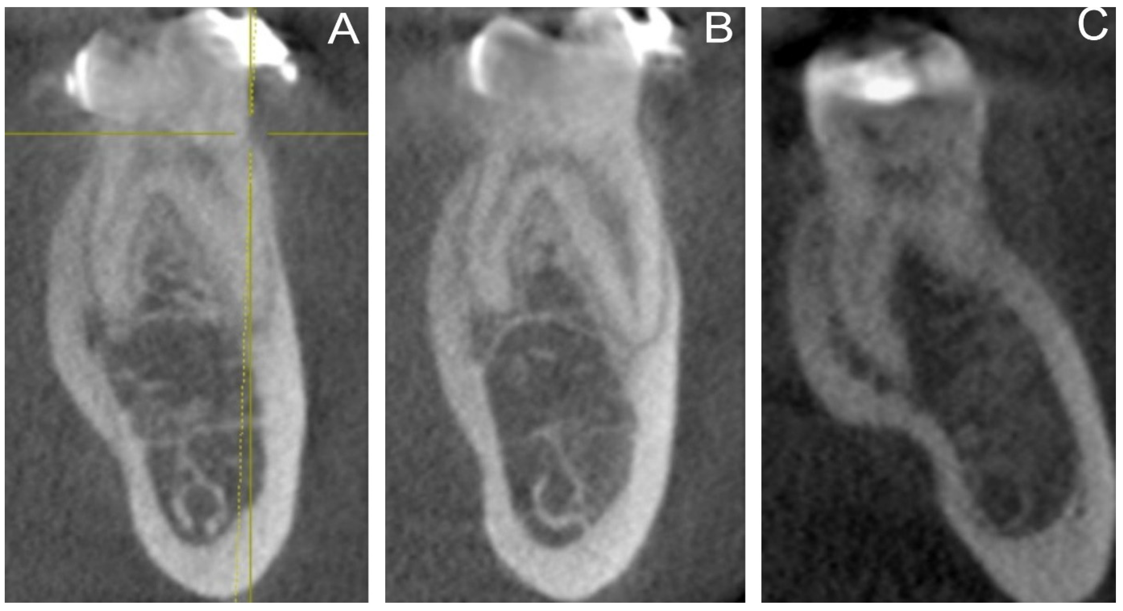 Medicina 59 02025 g002