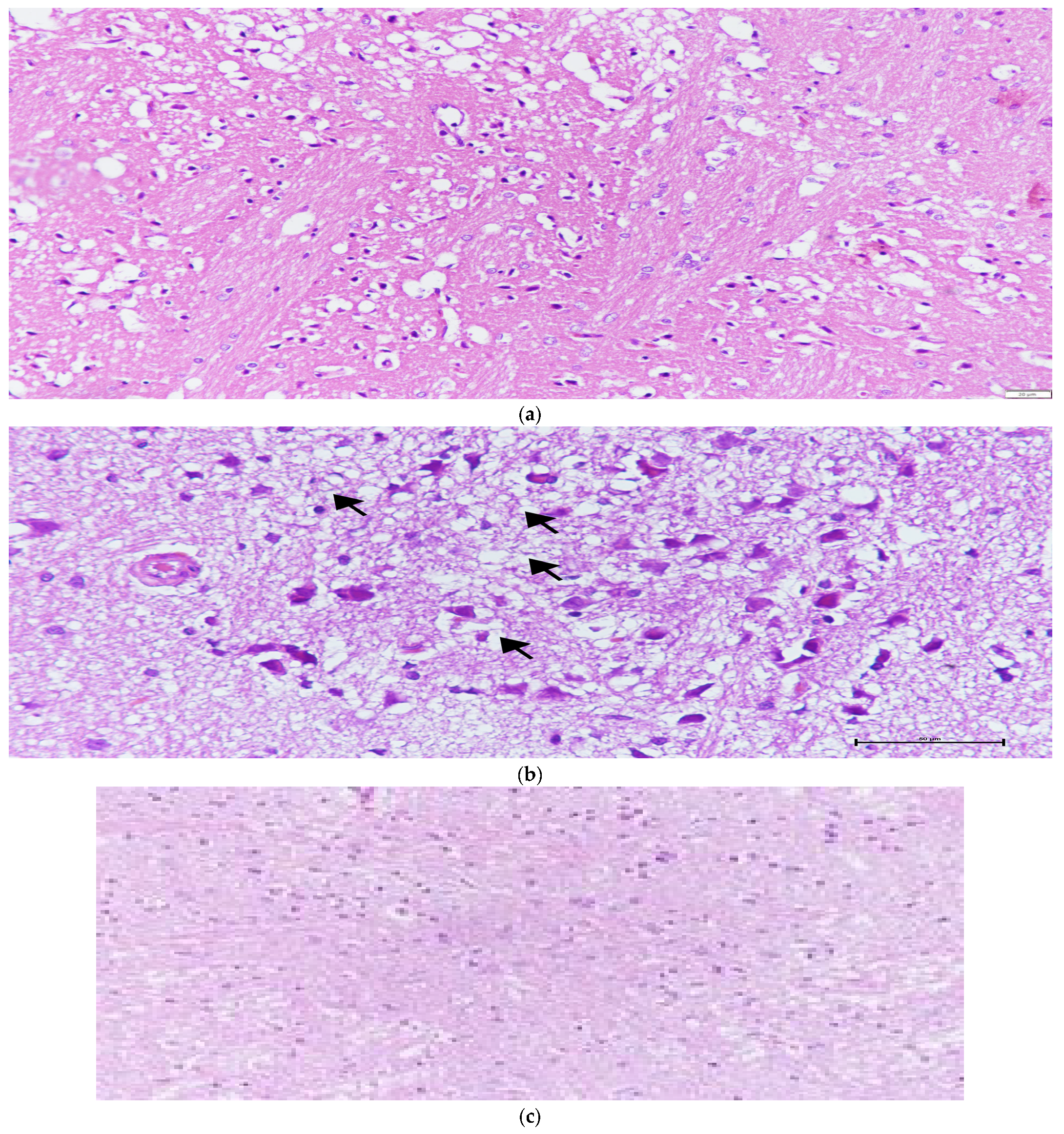 Medicina 59 02026 g002